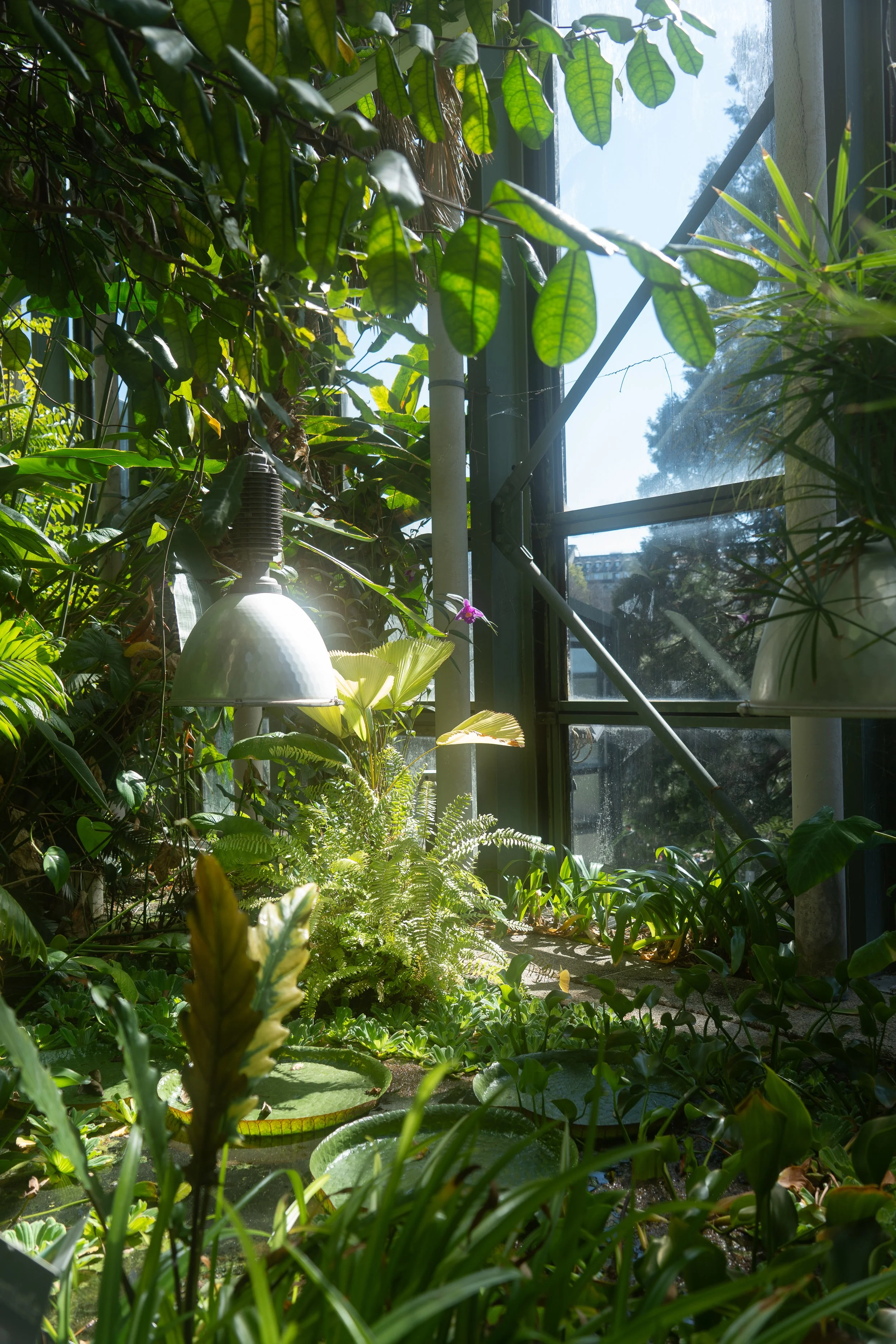 F4
1/125
29MM
ISO 100
