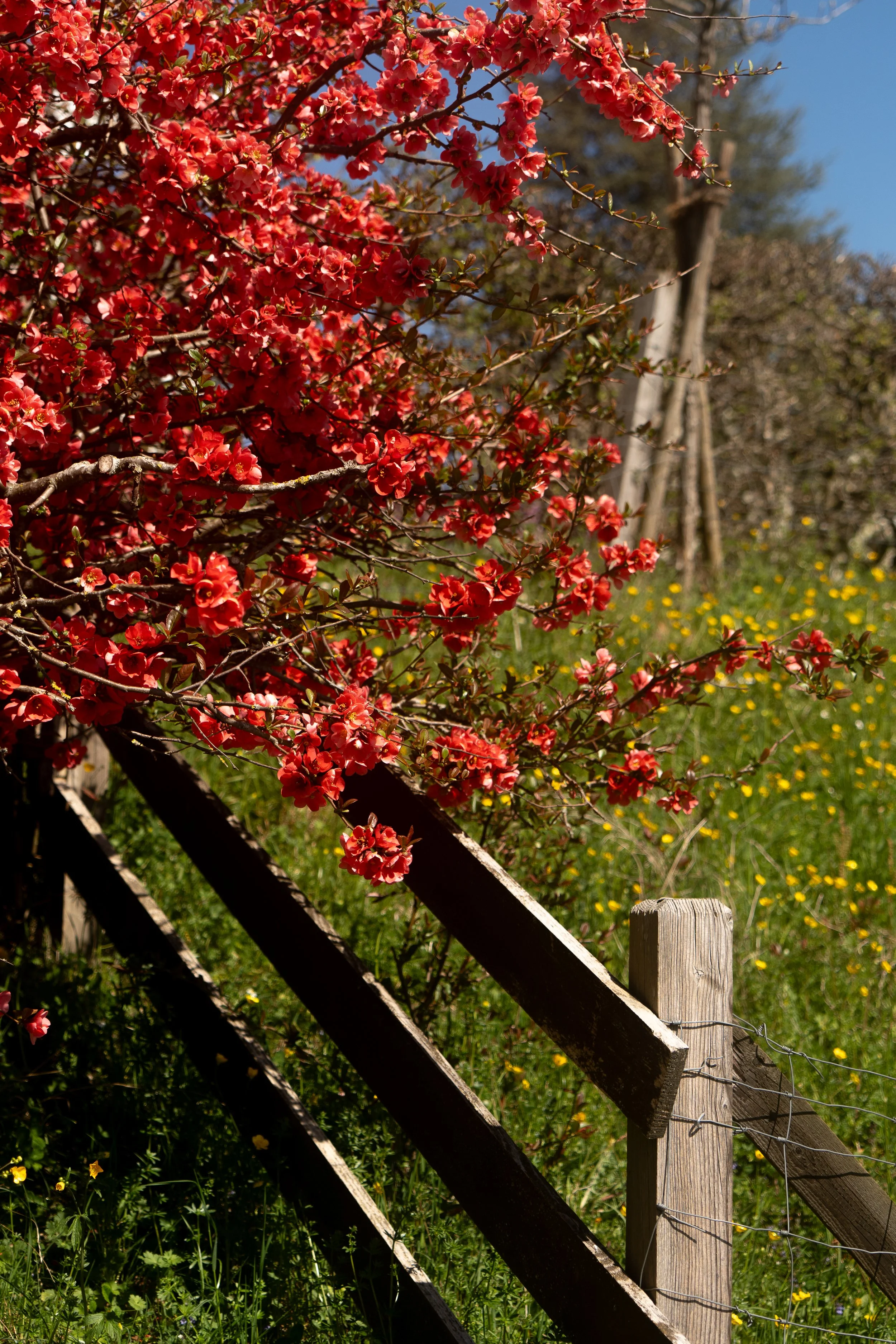 F4
1/1000
52MM
ISO 100