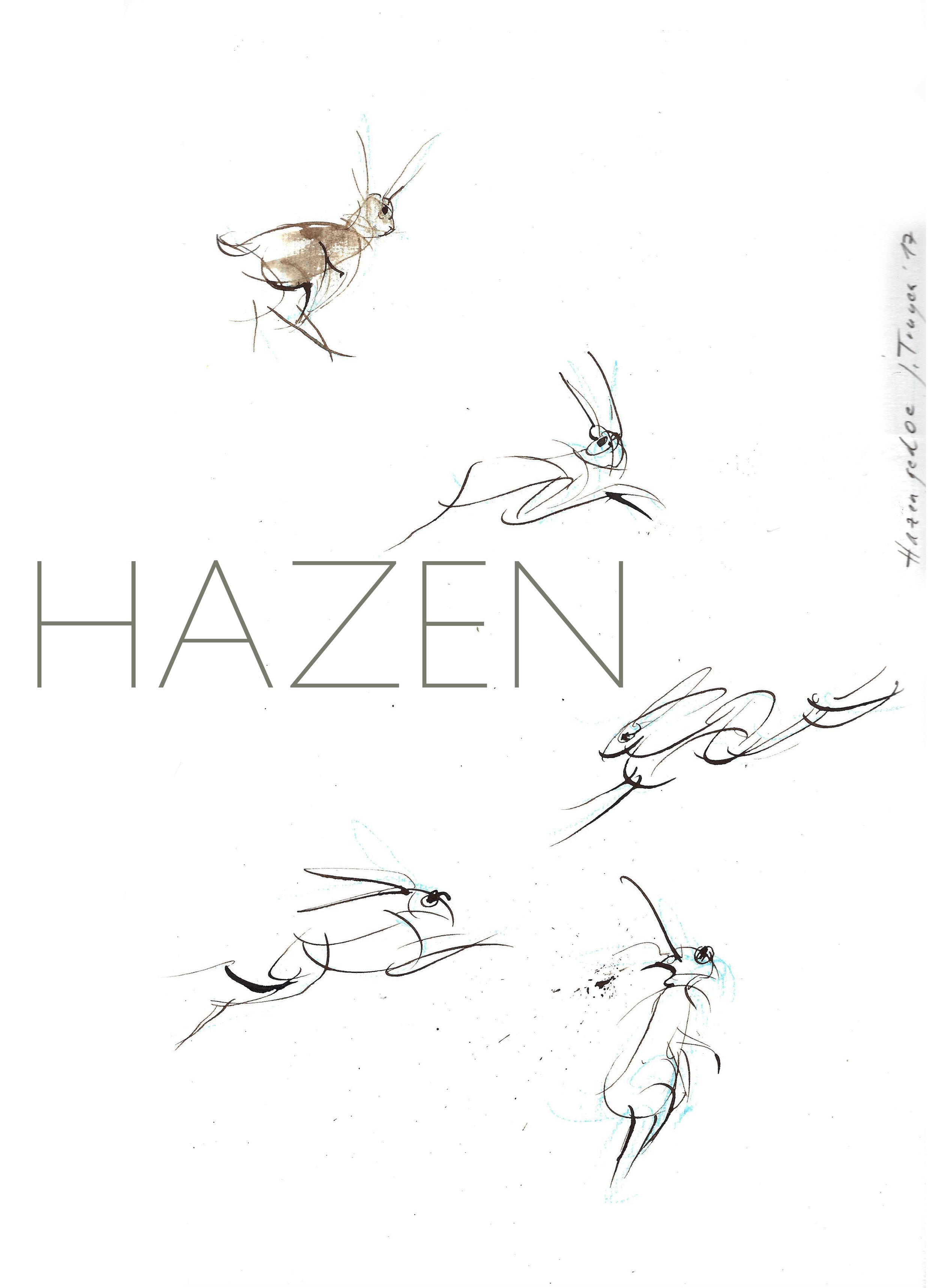 Hazen door Johan Truyen