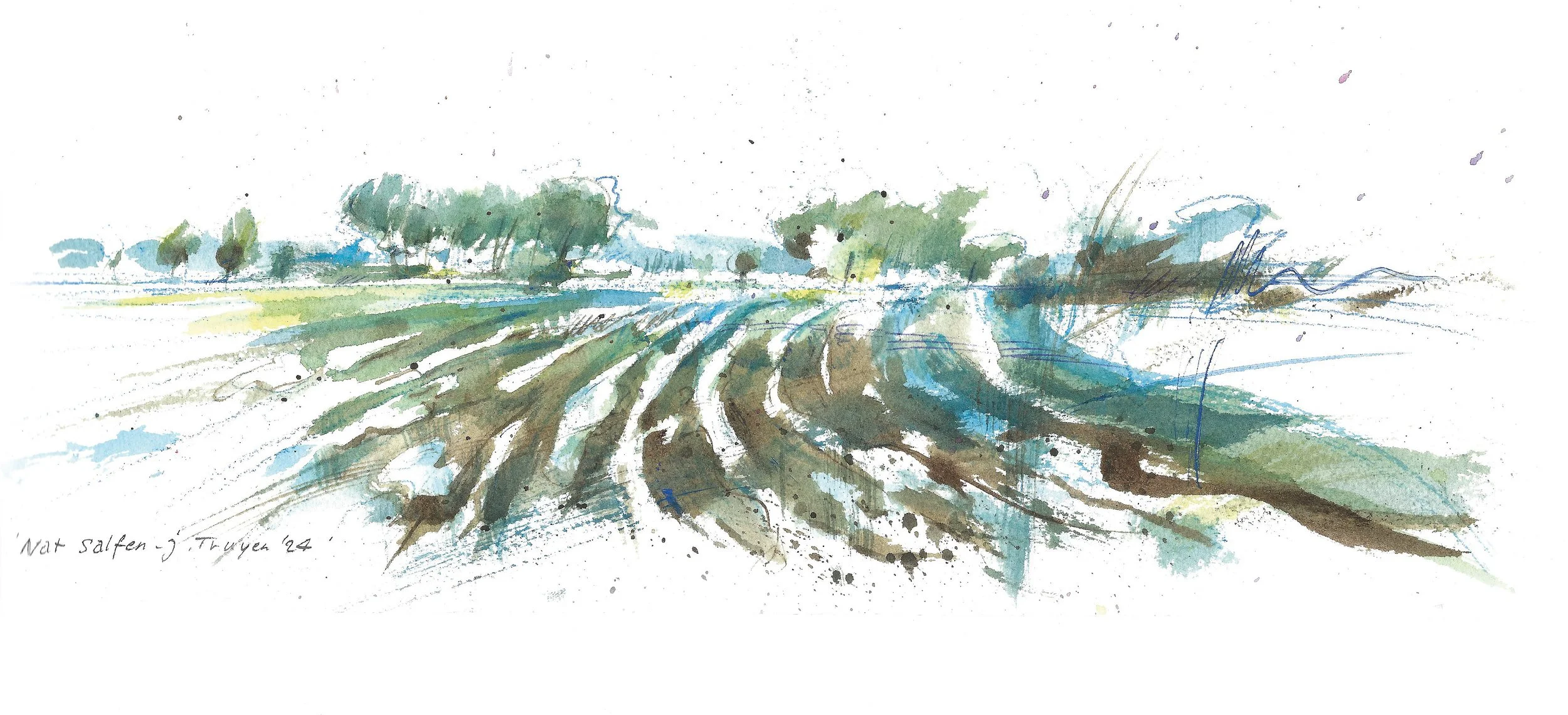 LANDSCHAP Nat Salfen  door Johan Truyen