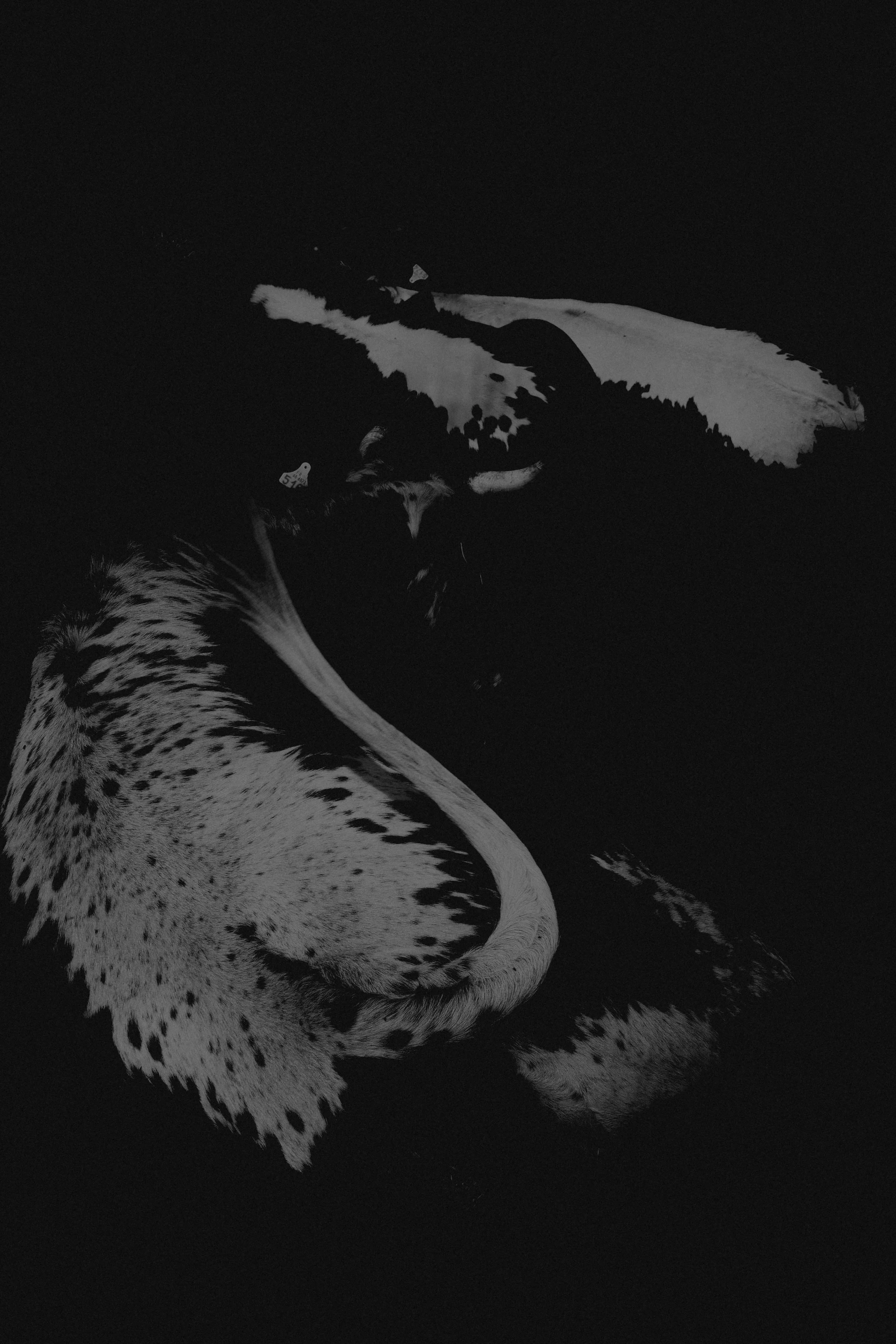 P1037916.jpg