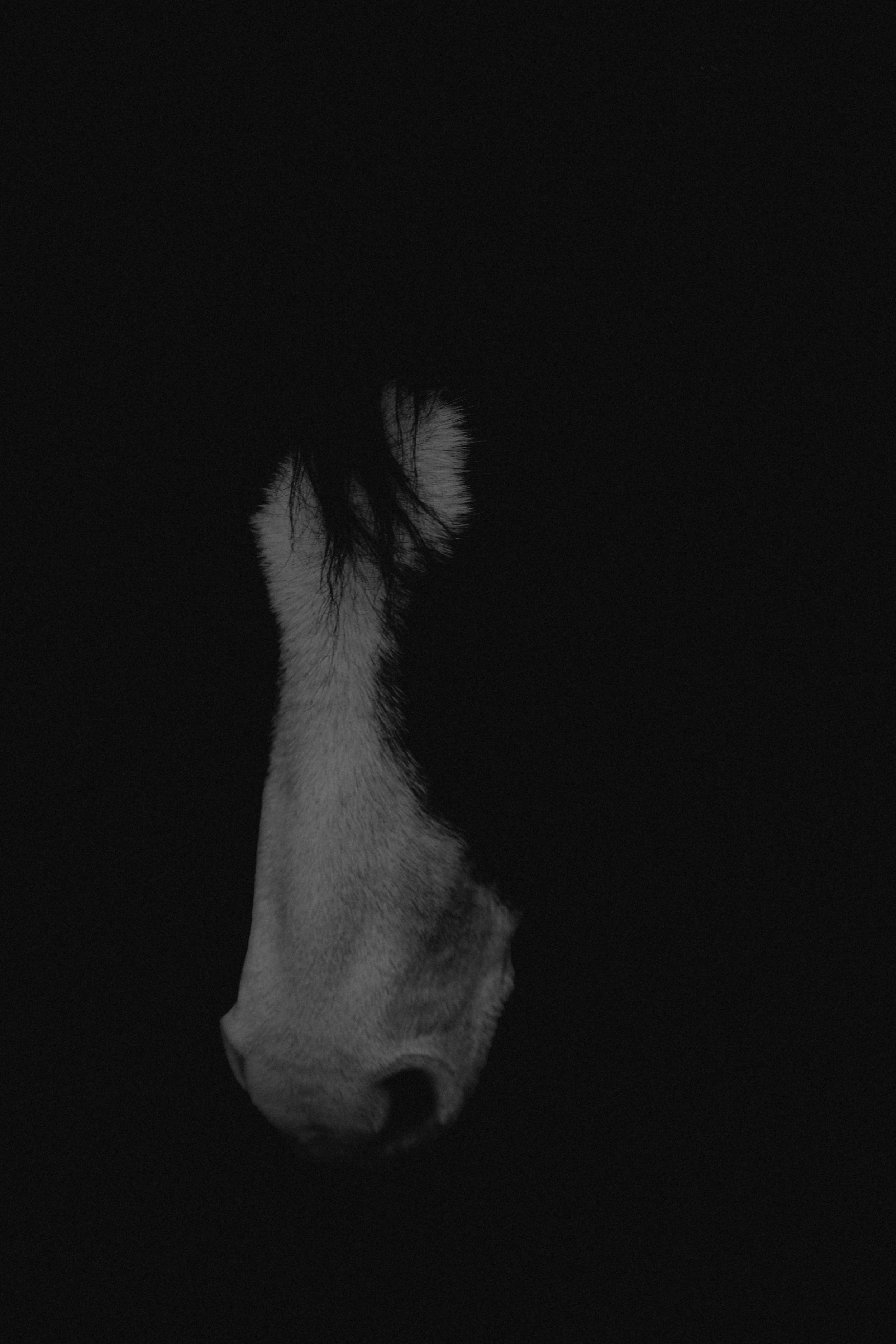 P1038205.jpg