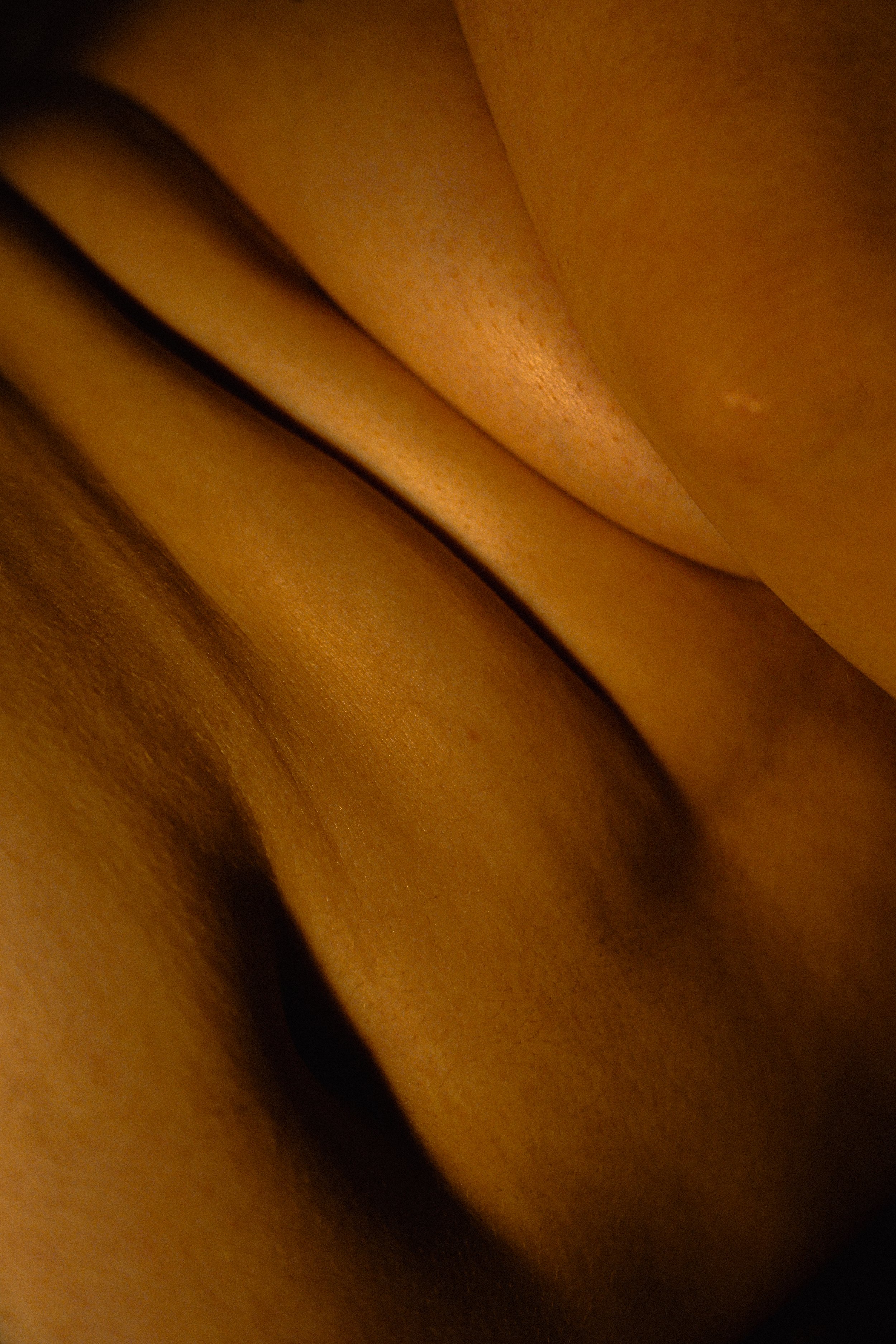 P1042232.jpg
