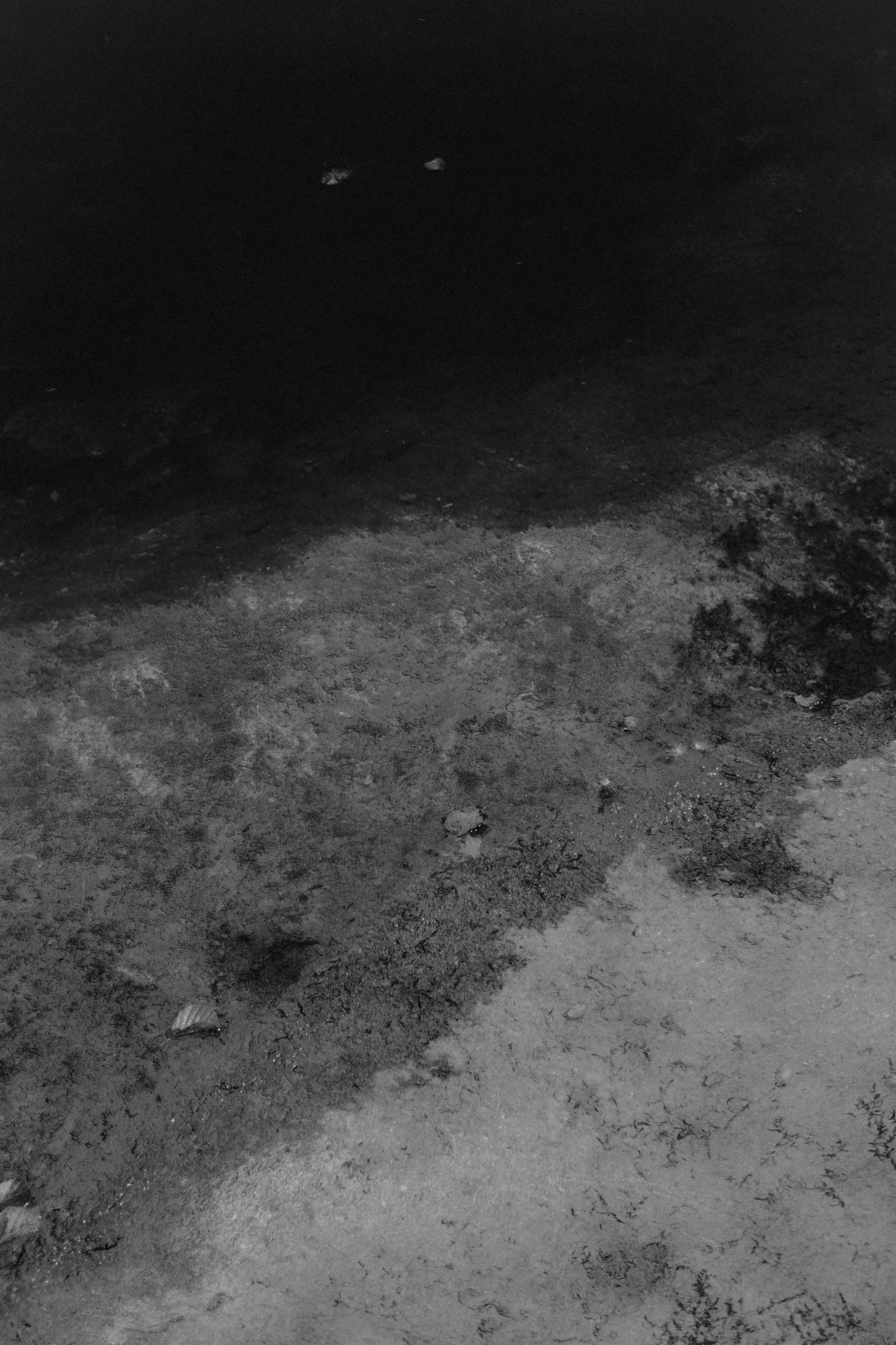 P1037512.jpg
