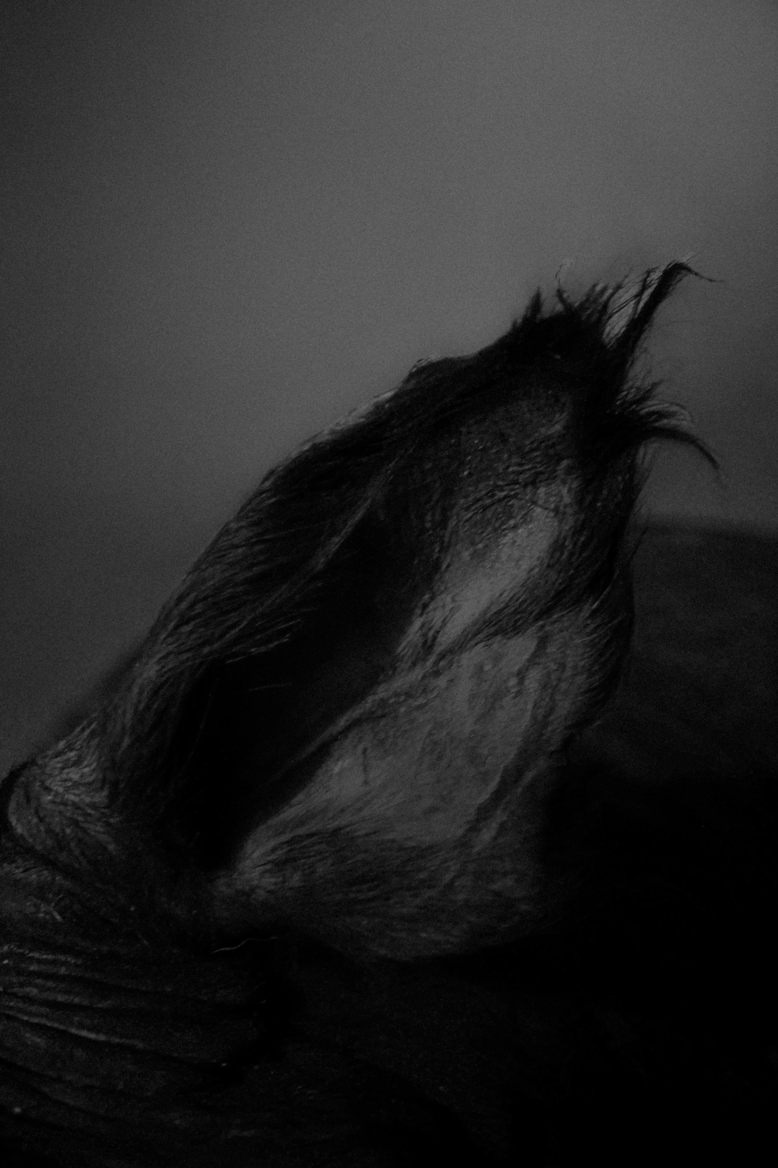 P1024468.jpg