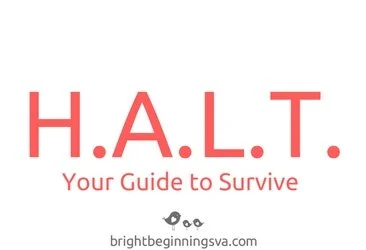 H. A. L. T. Your Guide to Survive