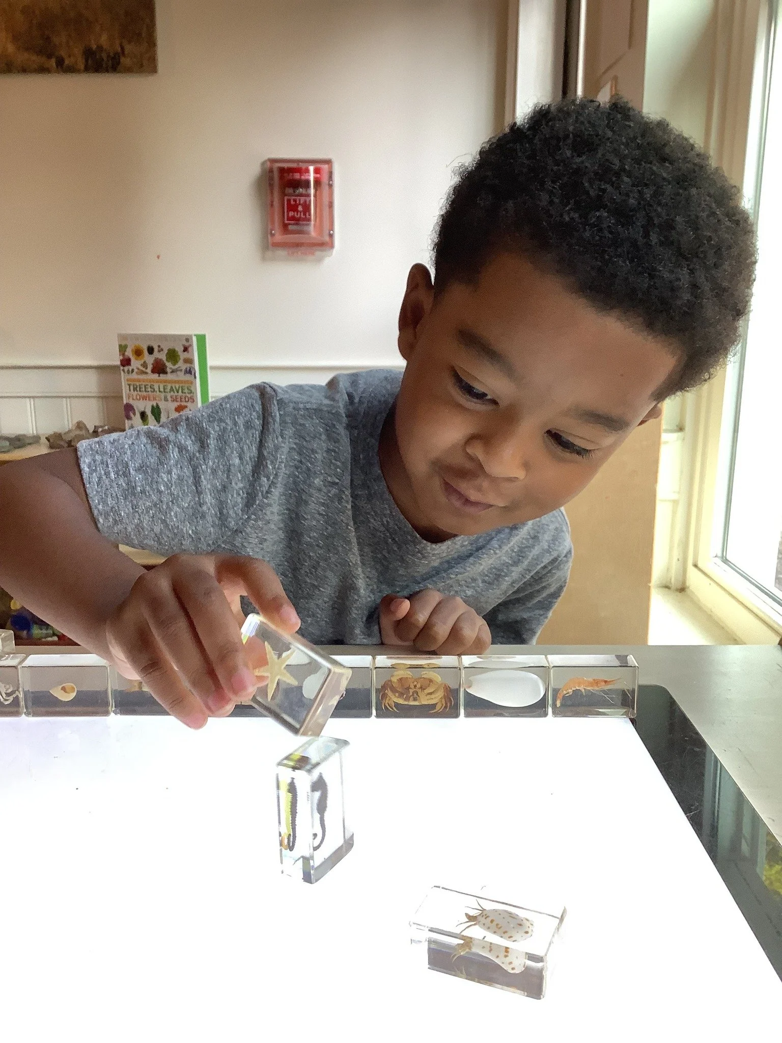 The Cheetah&rsquo;s new Nature Center at Mill Creek was a HUGE hit today!
#nowenrolling #reggioemiliaapproach  #inquirylearning #layingthefoundationsoflearning #millcreek