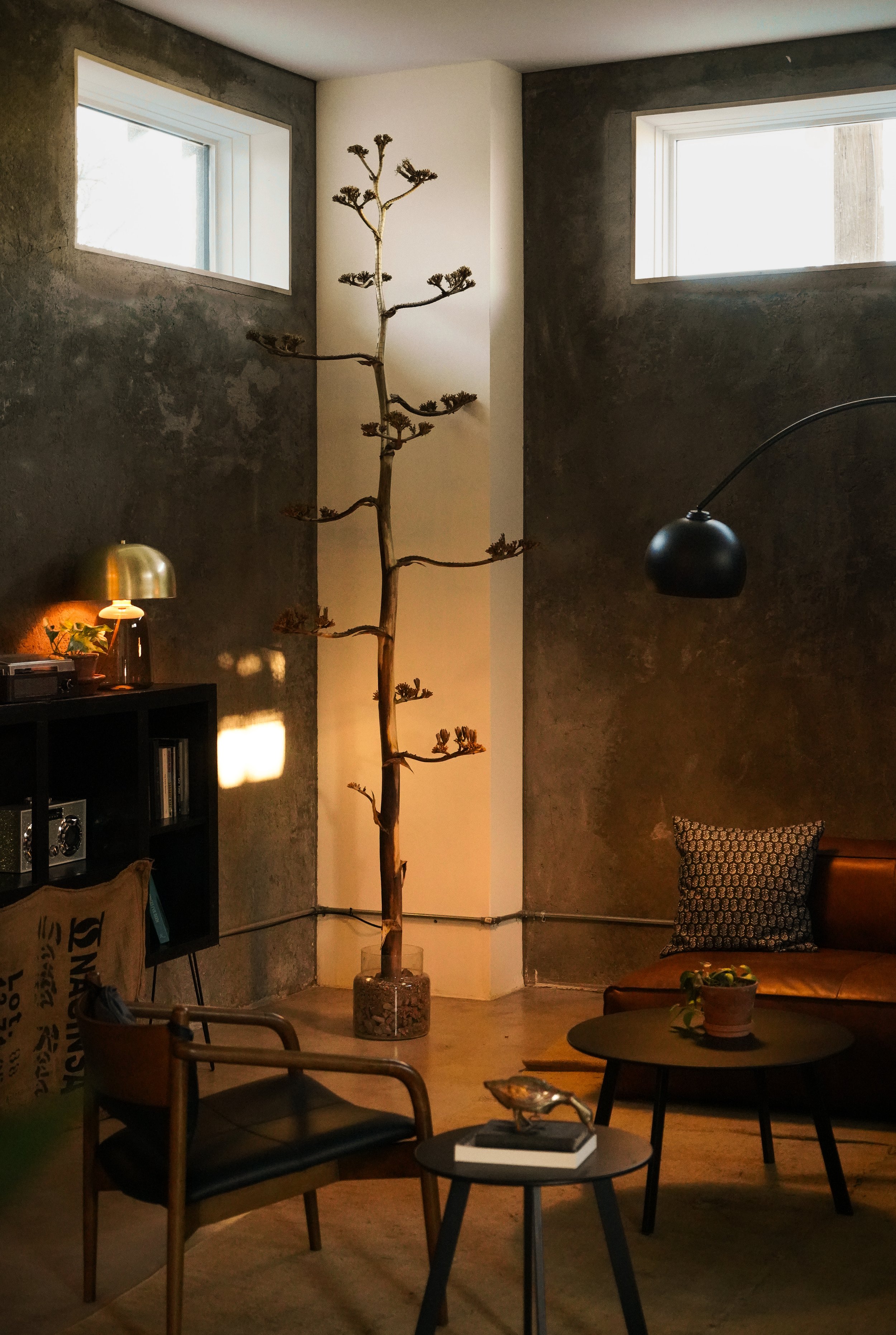 Bohemio Final_-6.jpg