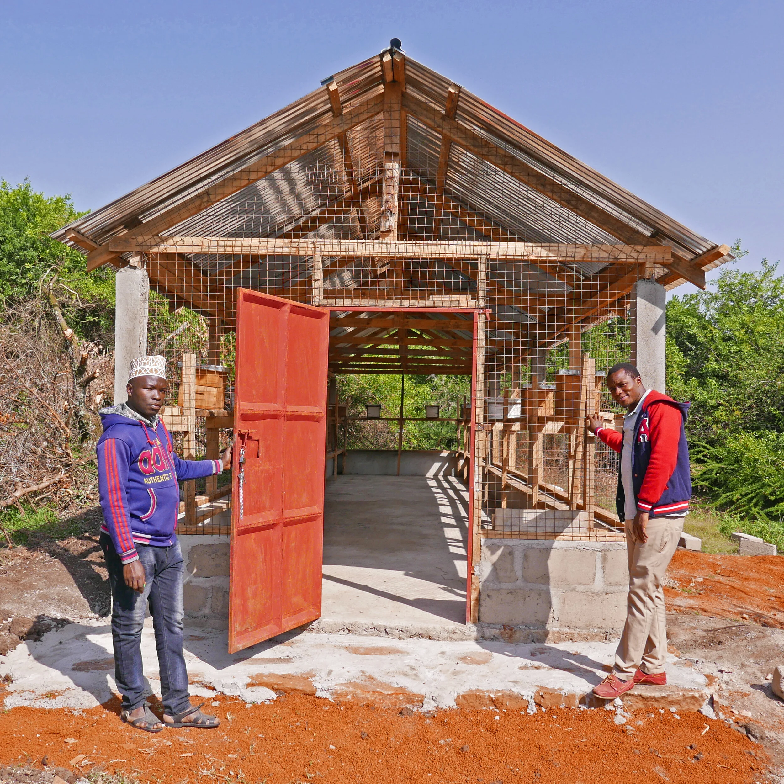 Building the Stingless Bee Cage