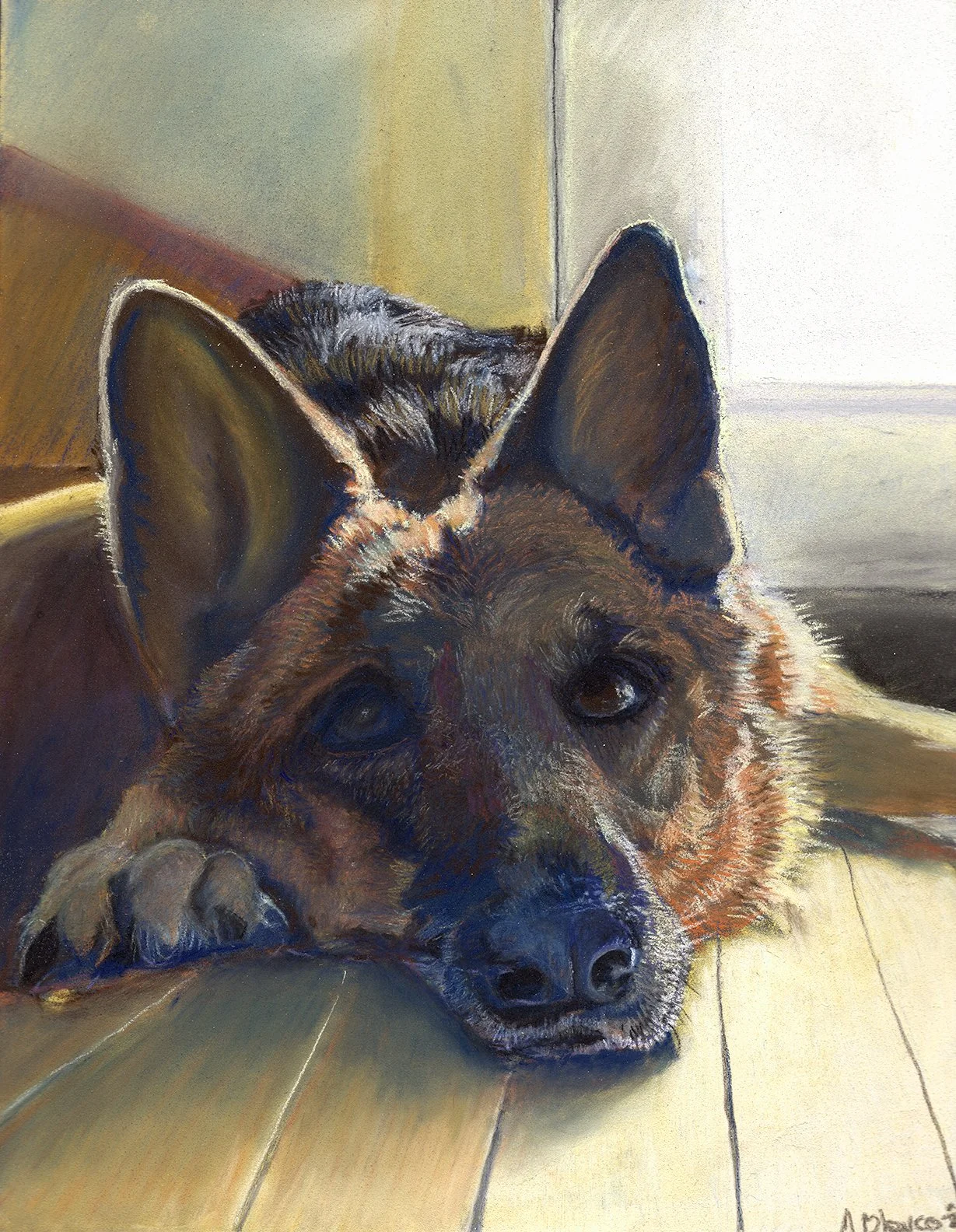 German Shepherd lying down, head on the floor, backlit by sunlight
