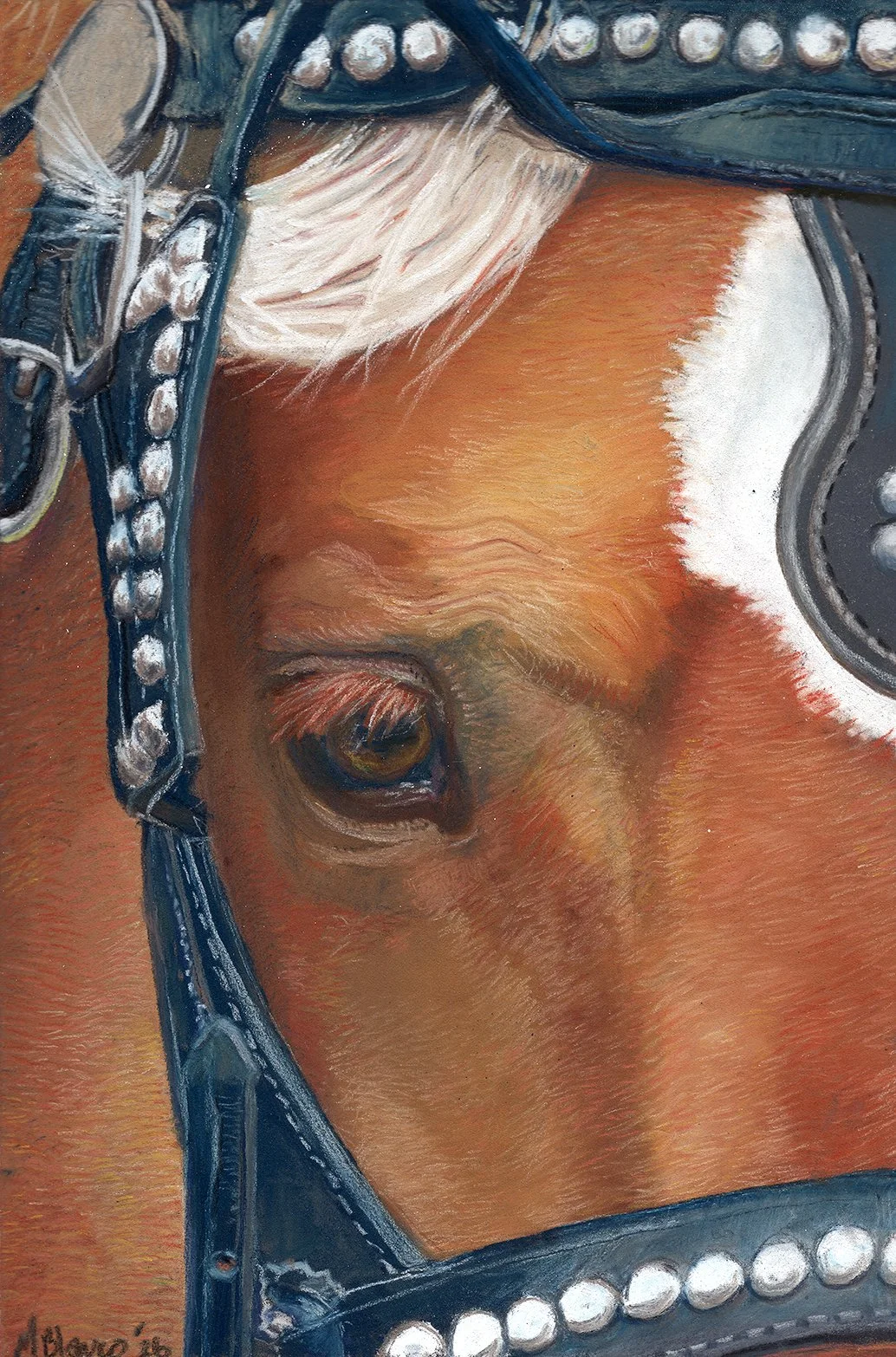 Pastel painting of draft horse eye and face