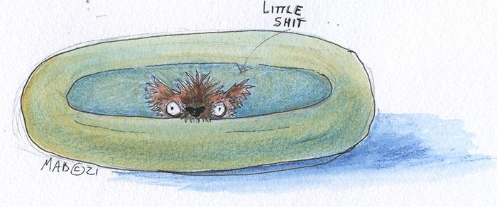 CAndJCoffee Mug2.jpg