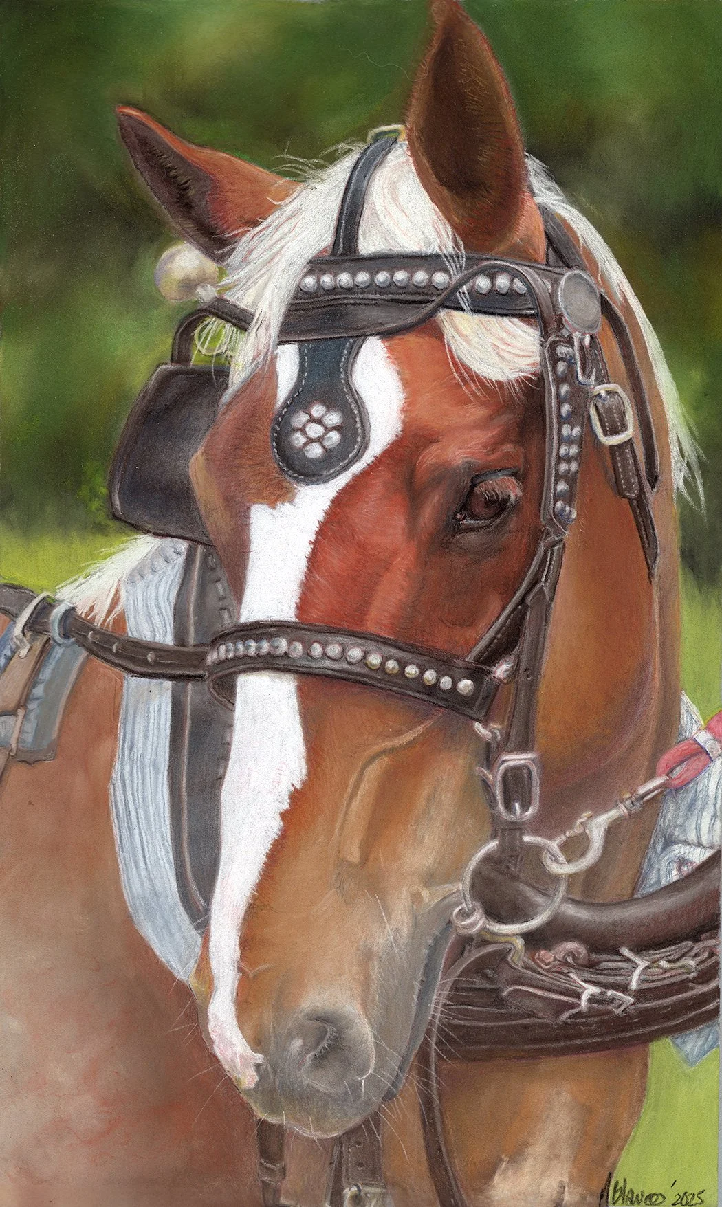 dh8-well-howdy.jpg