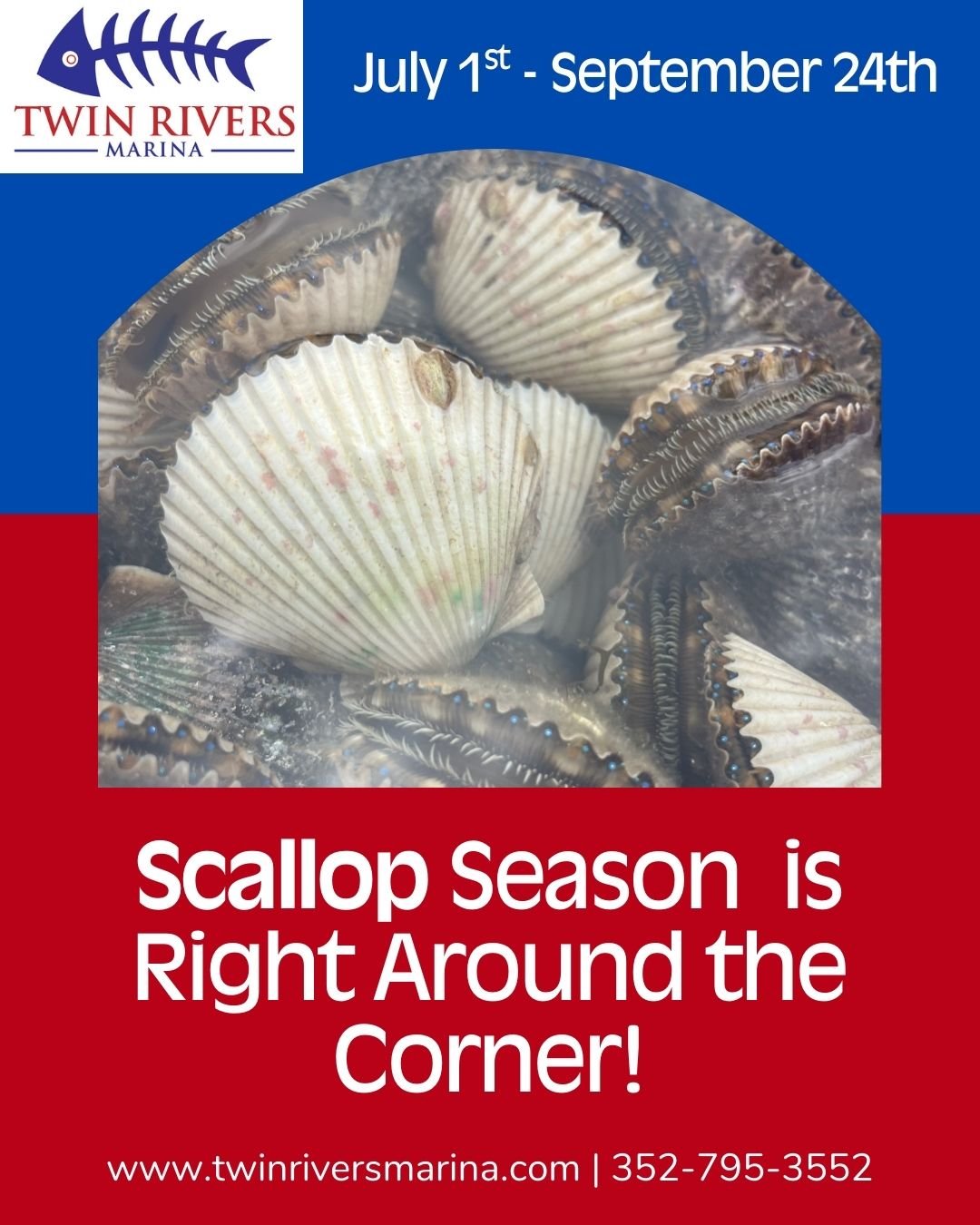 We have lots of reservations already for Scallop Season! Don't miss out! Book today! Pontoons, Skiffs, Kayaks, and a Double Decker Pontoon w/slide available! #crystalriverfl #scallopseason2025 #scallops #florida