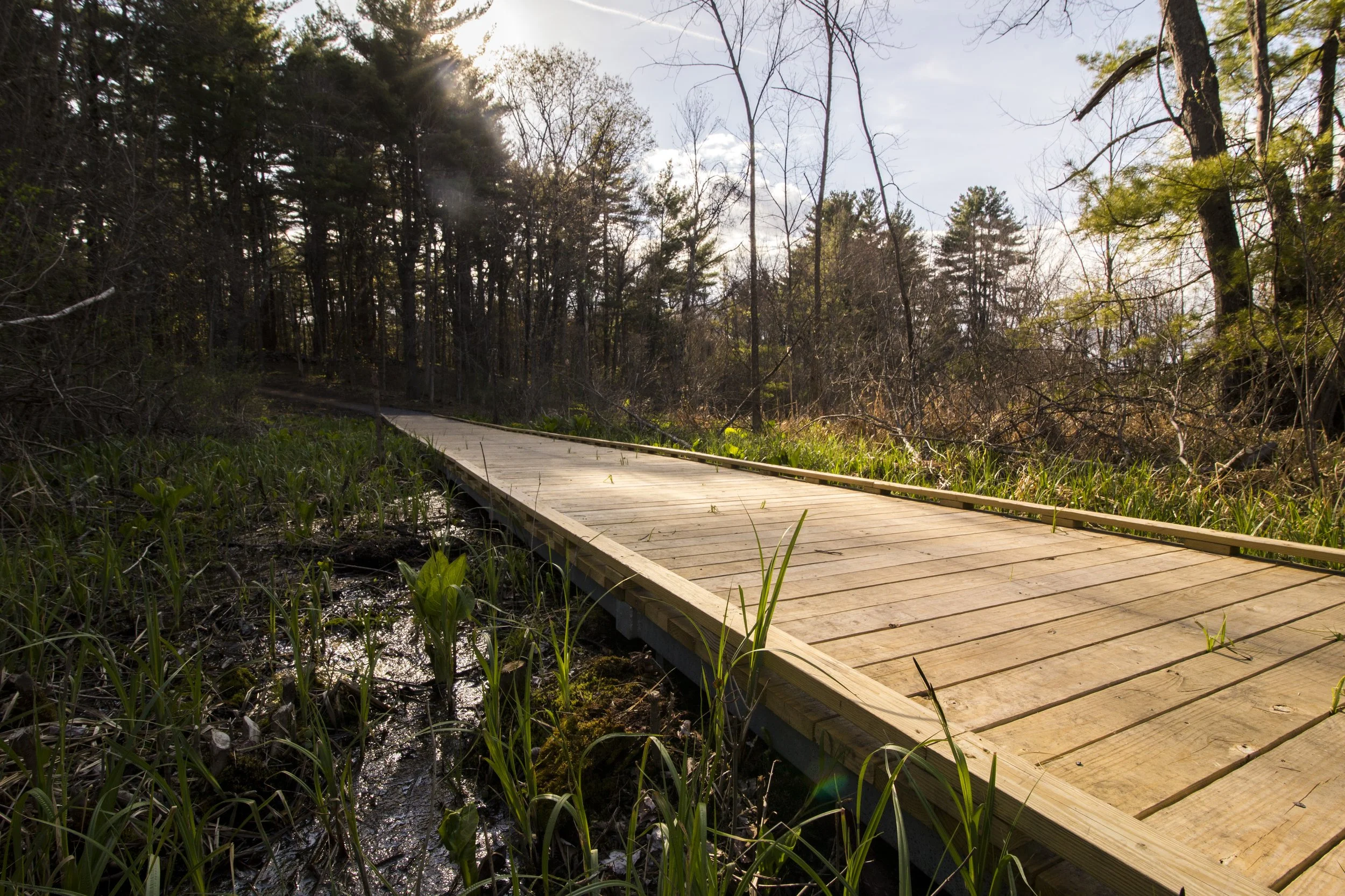 WHY MTS | Pre-Fabricated Boardwalks | Madison | Modular Trail Structures