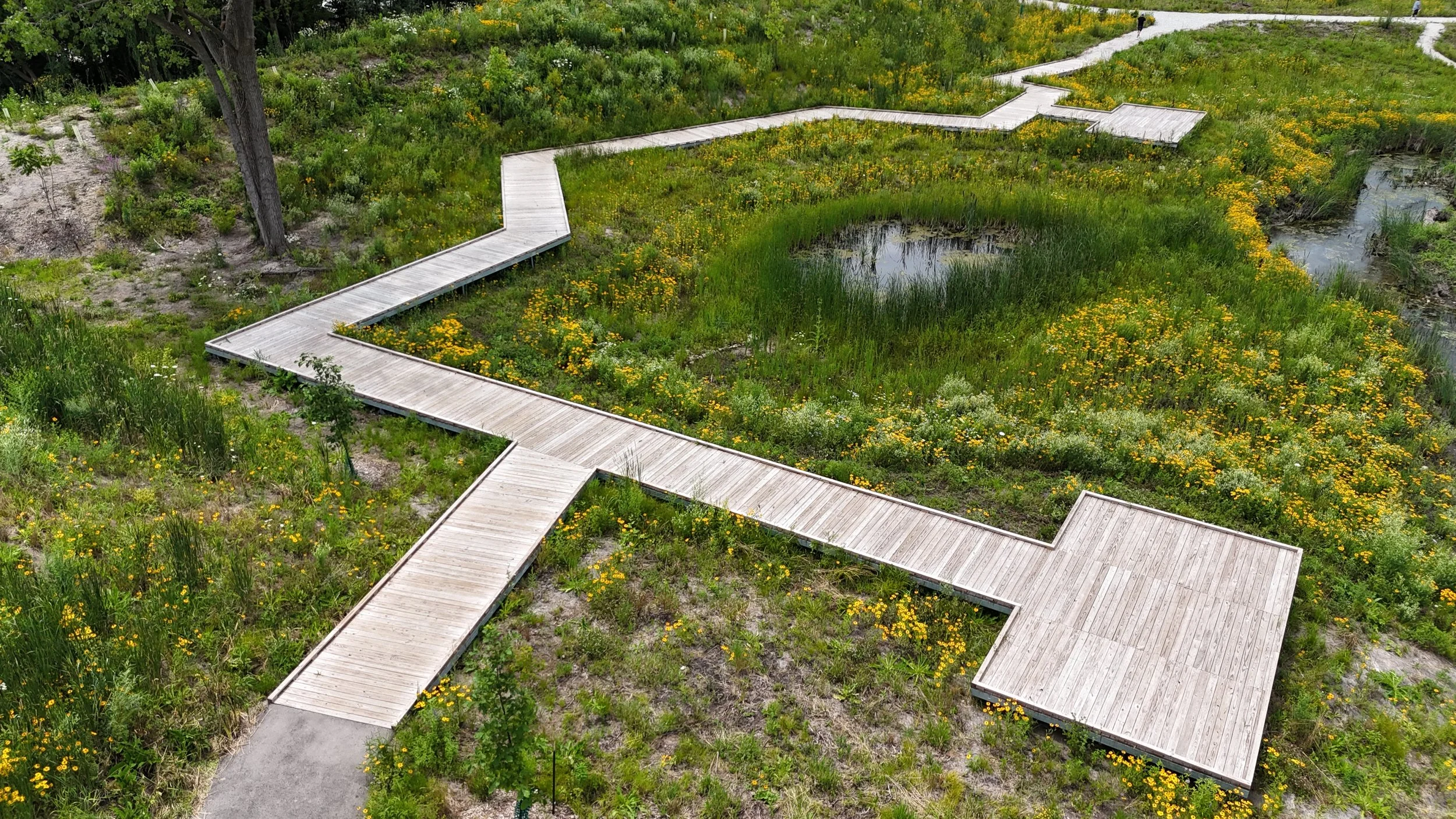 ABOUT MTS | Pre-Fabricated Boardwalks | Madison | Modular Trail Structures