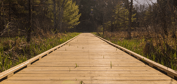 MTS-Nashua-Boardwalk.png