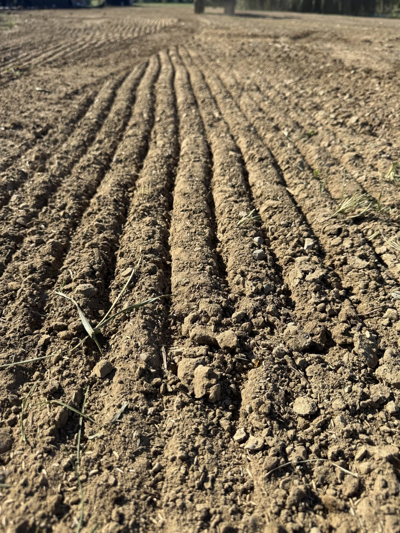 Professional lawn grading and seed installation Logansport, Peru, Rochester, Wabash, IN