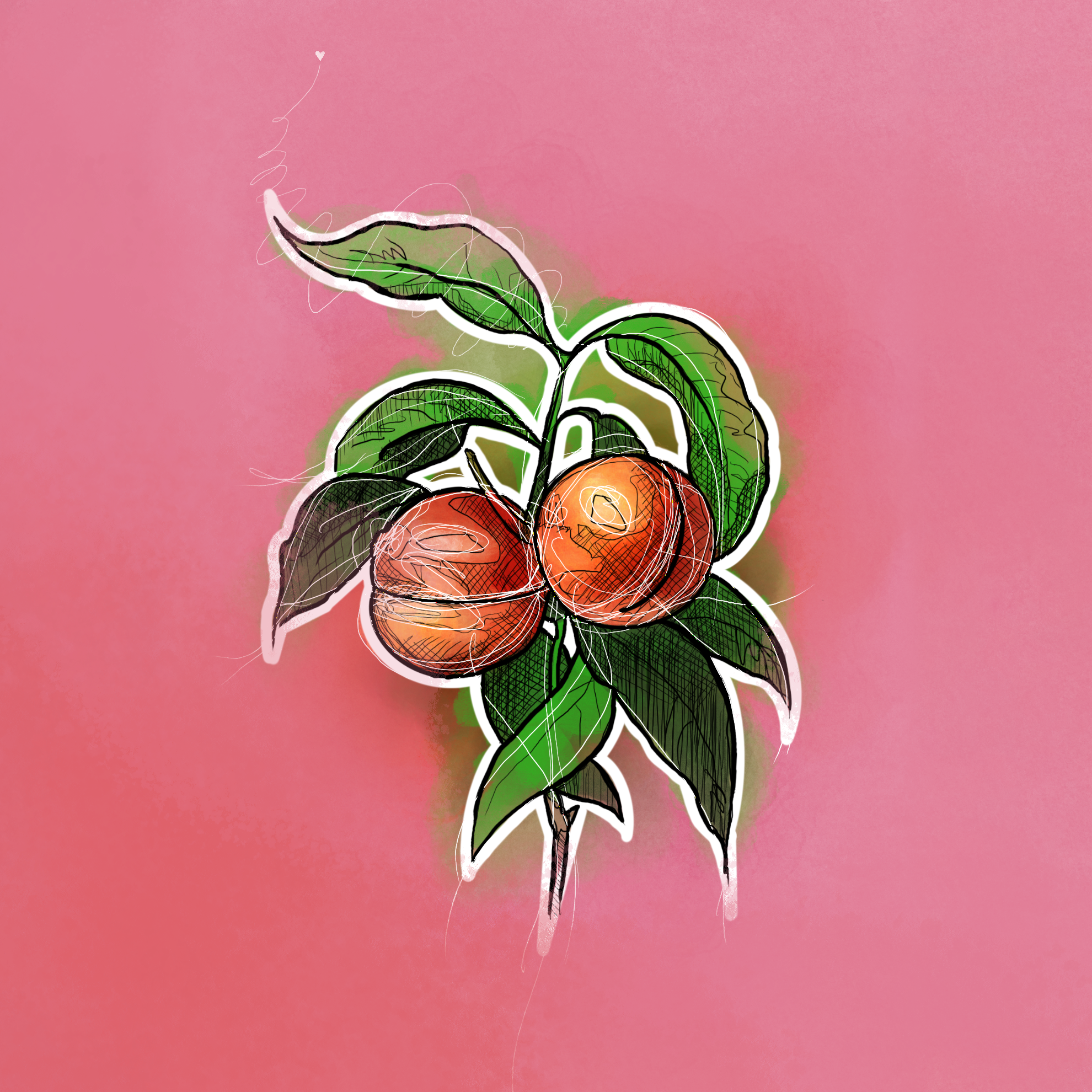 fruitful peach_01.png
