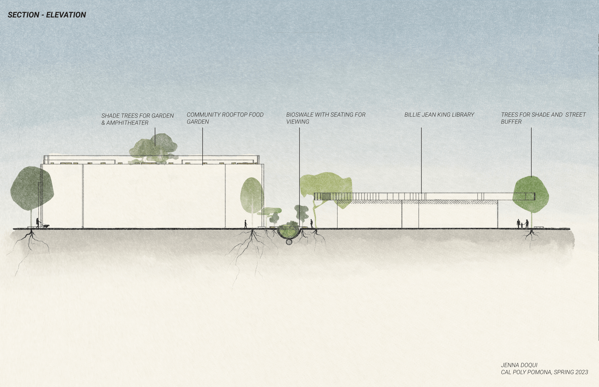 1.C Section elevation of proposed planting and bioswale for shade and urban runoff. 