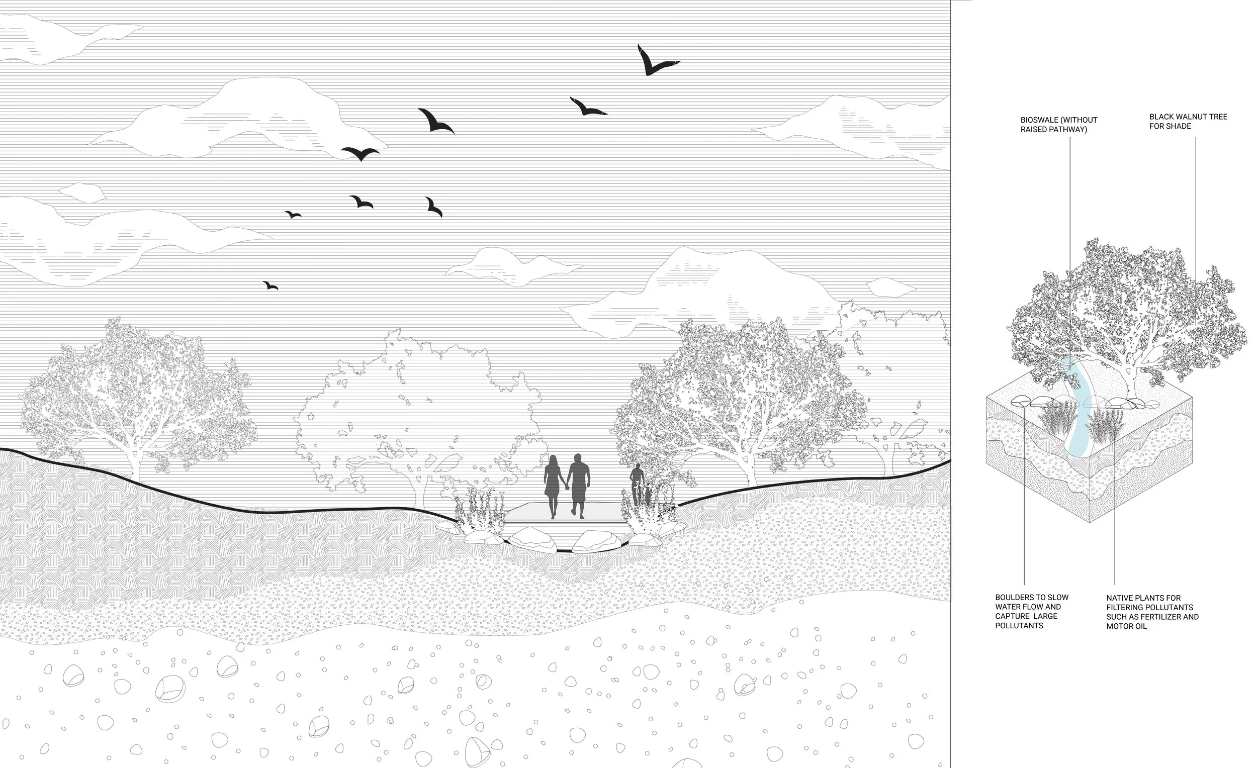 1.B Elevation and axon of proposed bioswale to reduce erosion and pollution from urban water runoff. 
