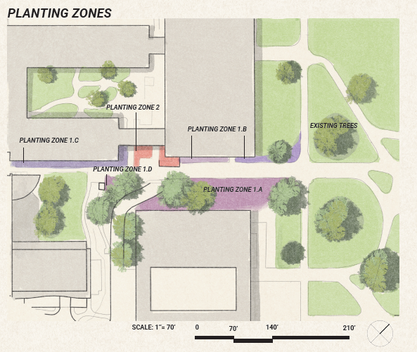 2.C Scaled plan view with proposed planting zones