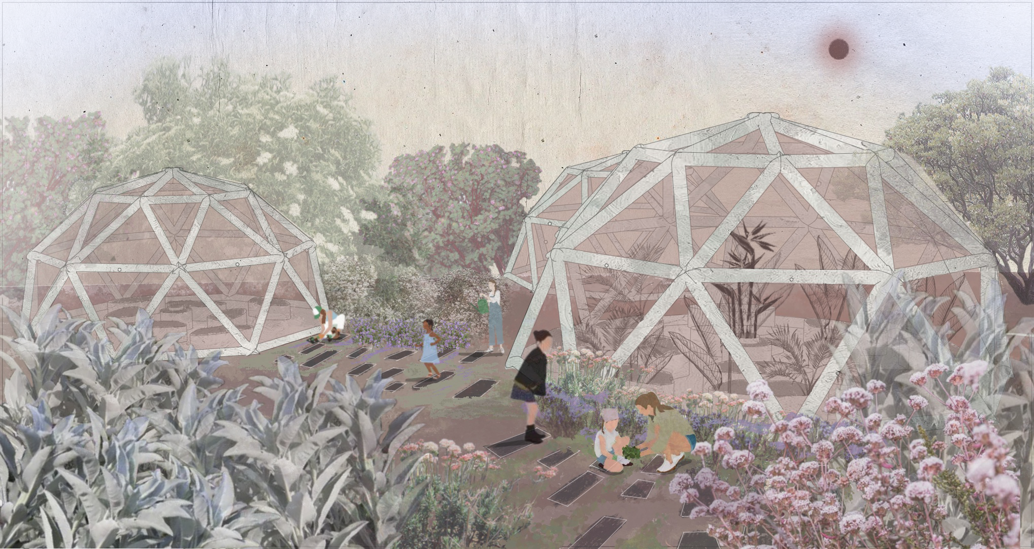 2.B. Illustrative perspective of greenhouses. Originally drafted in Rhino 3D and rendered in Photoshop. 