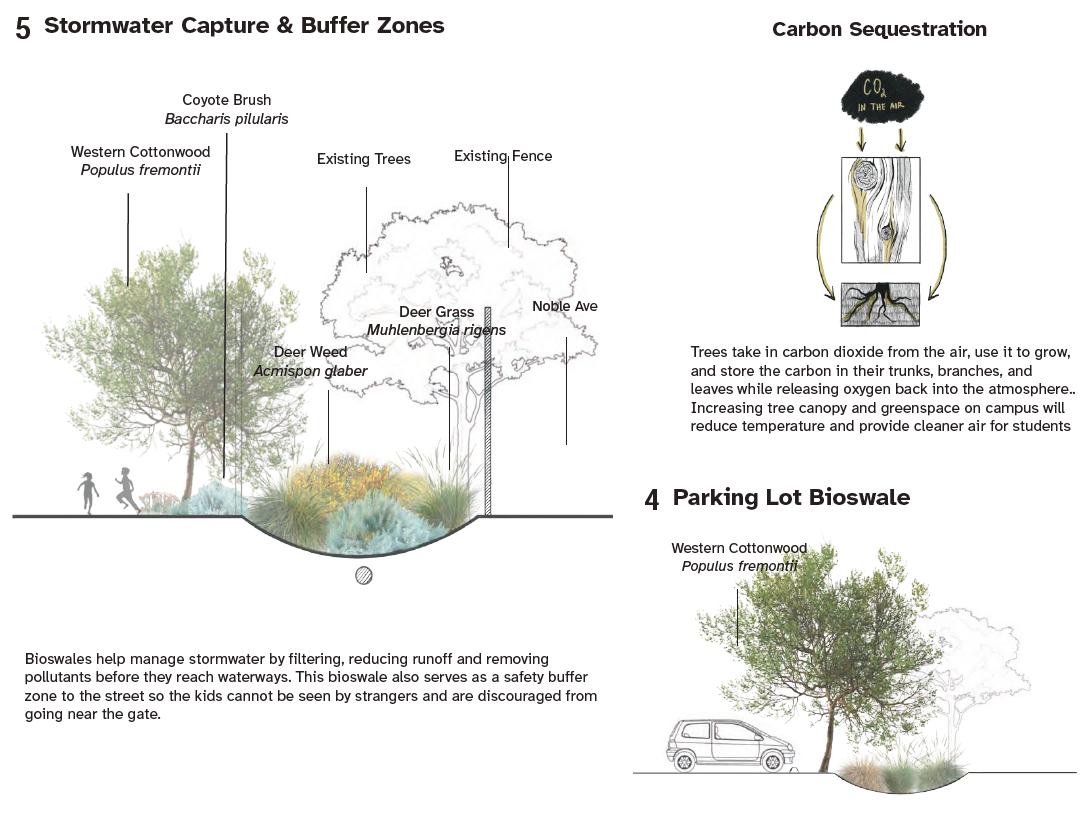 1.C Section elevation showcasing stormwater capture and bioswale, to reduce pollution from stormwater runoff. 