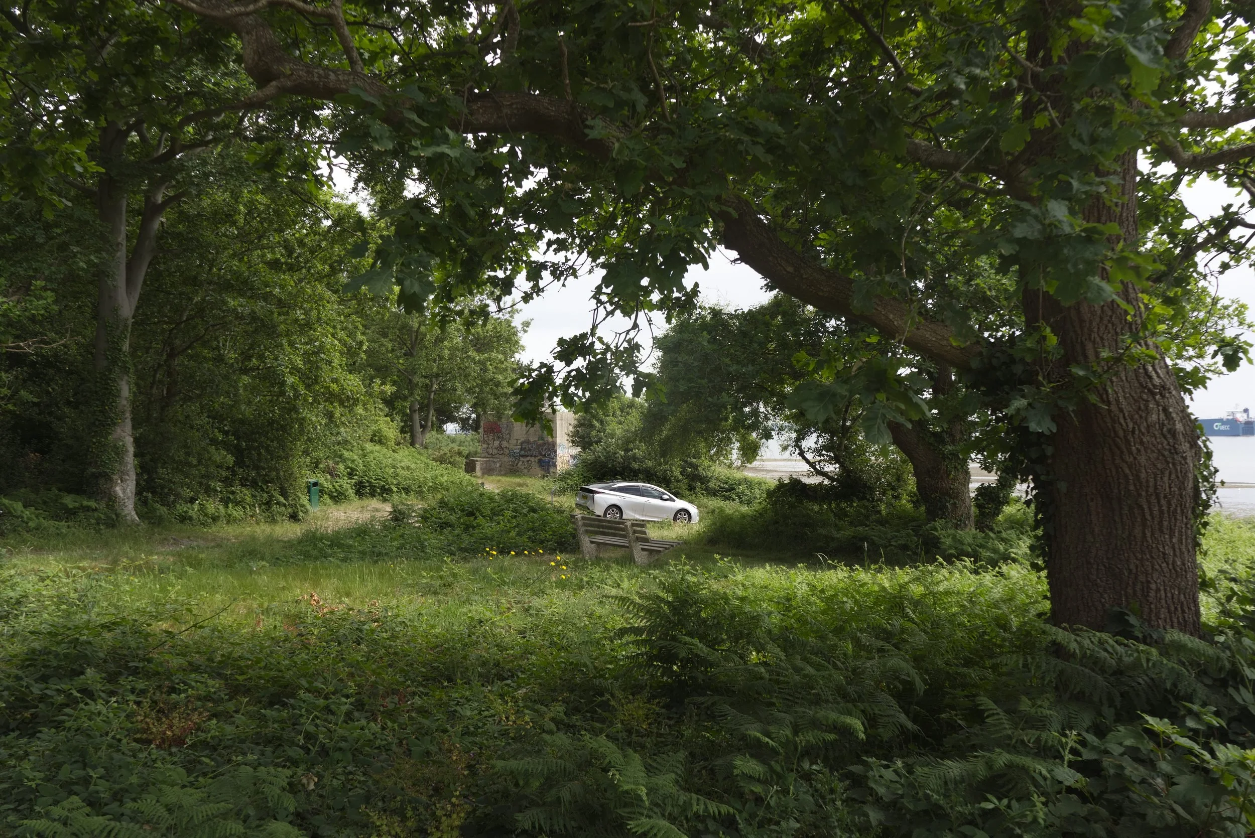 Peter_Dixie_DSC1867_07.jpg