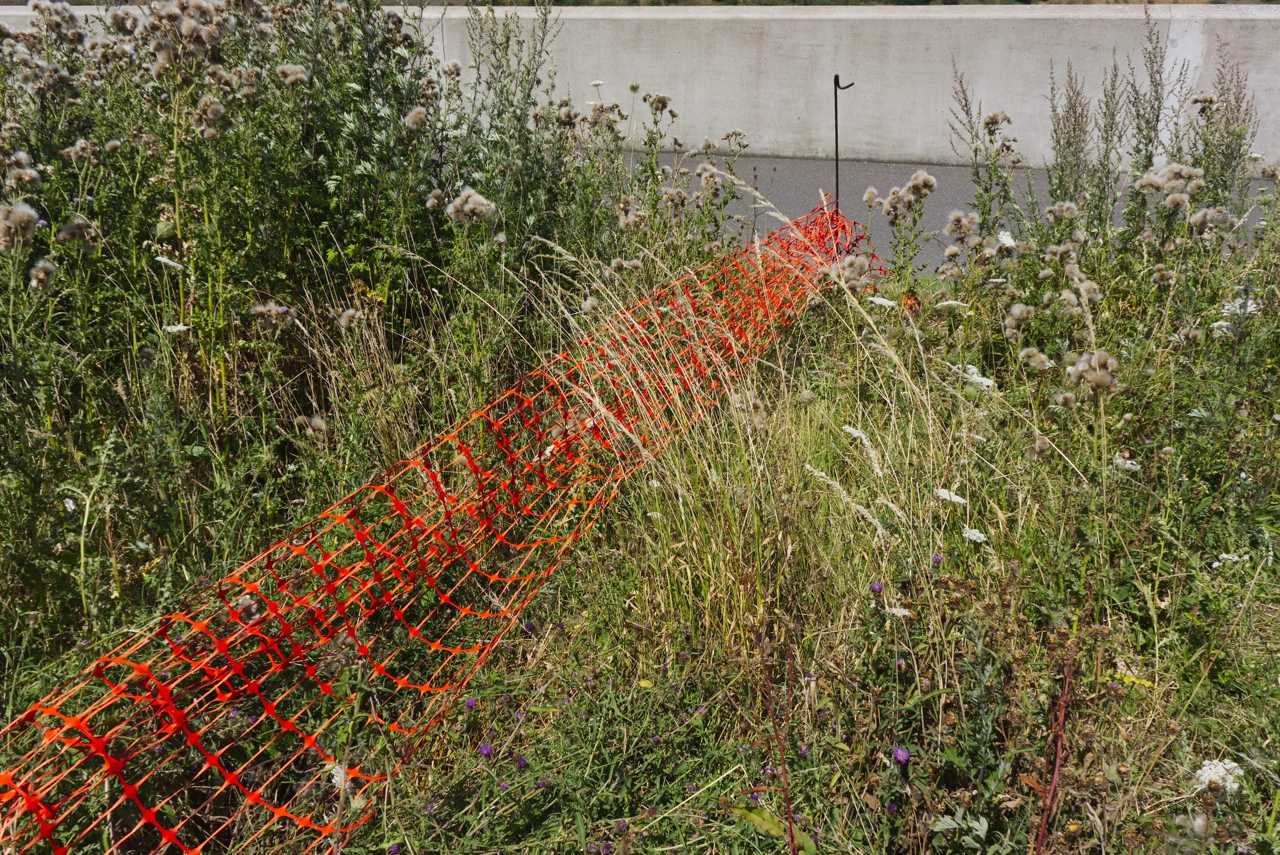 Peter_Dixie_DSC2707.jpg