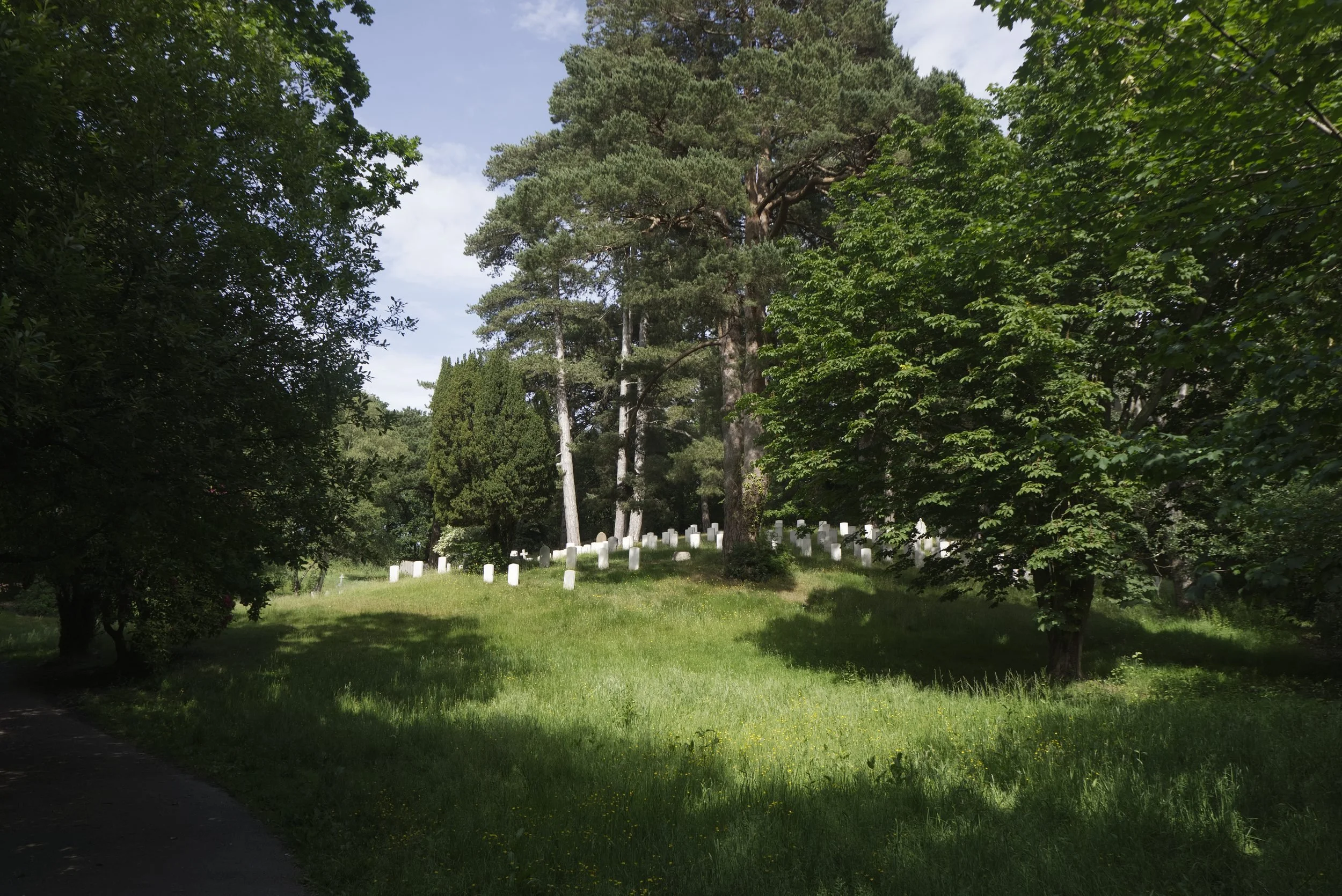 Peter_Dixie_DSC1893_11.jpg