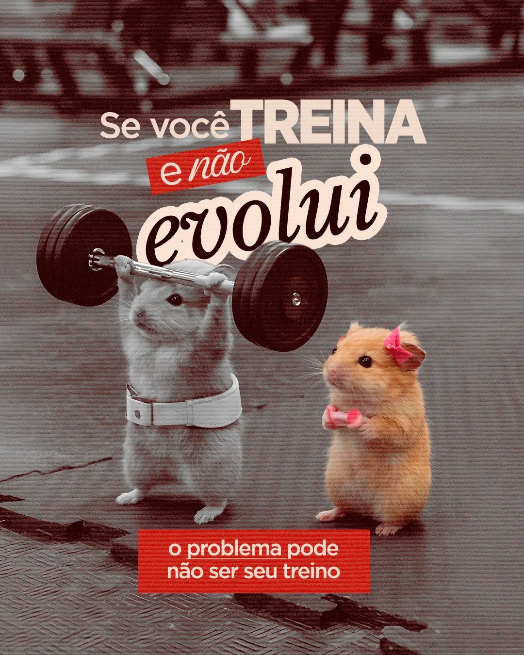 Tem dias que o que falta n&atilde;o &eacute; vontade&hellip; &eacute; energia mesmo.

O Clonapure chega como uma evolu&ccedil;&atilde;o da creatina tradicional, com uma proposta diferente: agir mais r&aacute;pido no organismo e entregar suporte real 