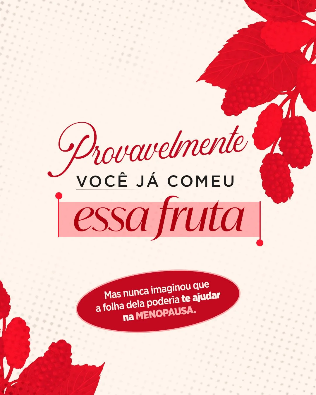 A gente precisa te contar uma coisa sobre a amora&hellip; 🍇
Voc&ecirc; sabia que a folha dela pode ser sua aliada na menopausa? Menos calor&atilde;o, sono melhor, humor mais est&aacute;vel e ainda protege contra o envelhecimento das c&eacute;lulas. 