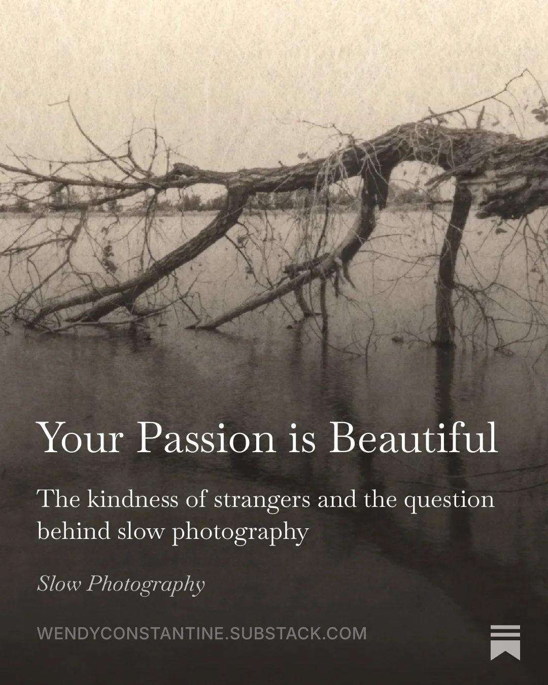 Your Passion is Beautiful