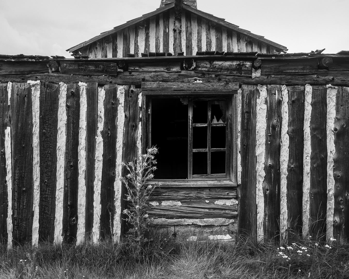 While only briefly inhabited by actors and film crew, this house captured my imagination 
#whatweleavebehind #storieswithinthesewalls #newmexico #oldhousesdream