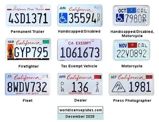 Responsibility Rides With Us: Why CAYC Supports AB 1942