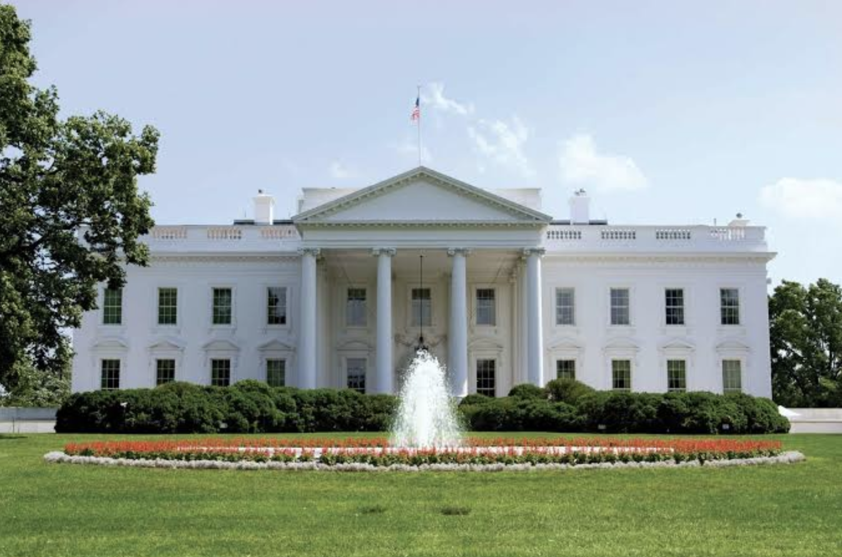 The US Government Is A Plant Cell: Connecting Physical Sciences With Social Sciences