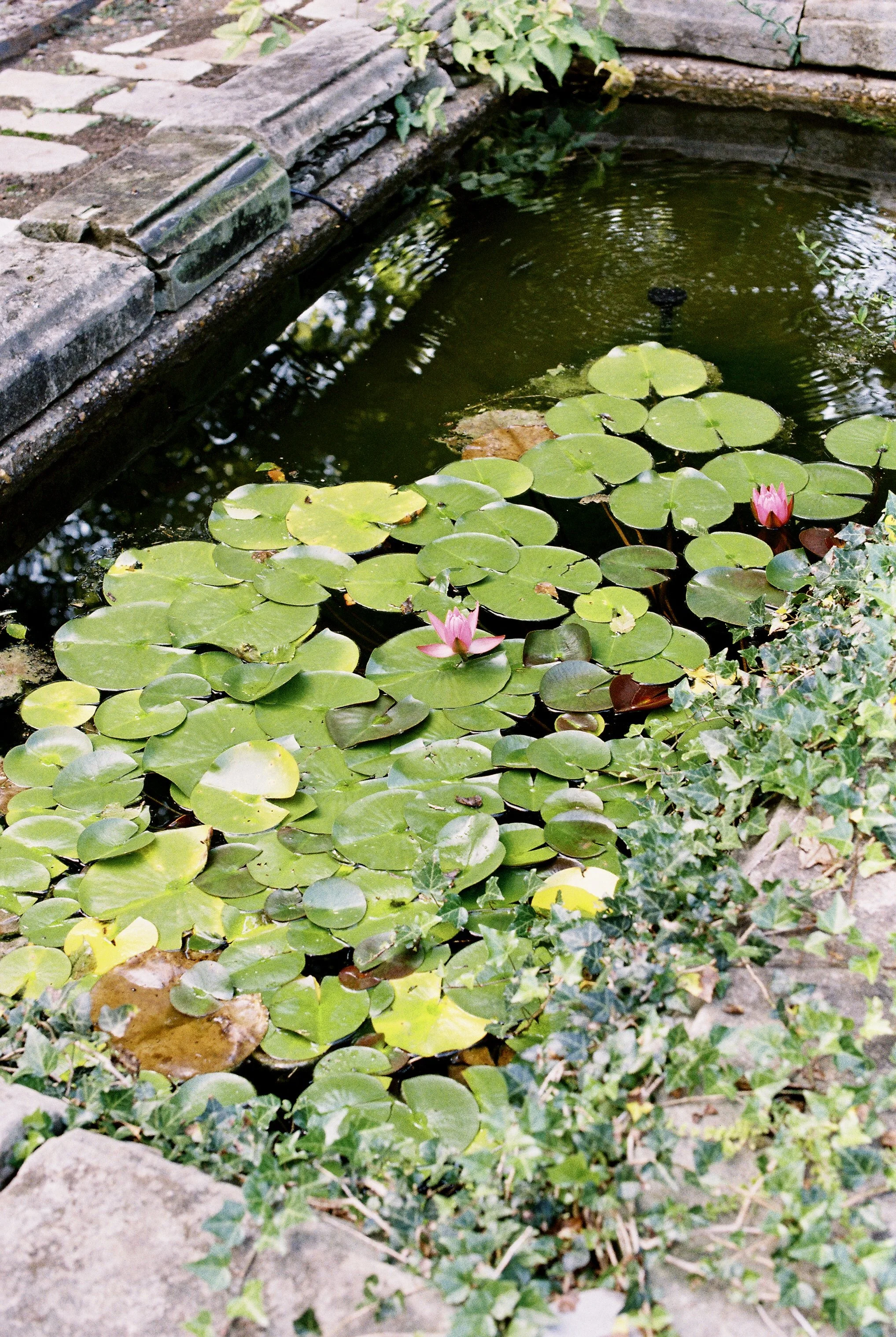 Photo Oct 01 2025, 10 50 55 PM (5).jpeg