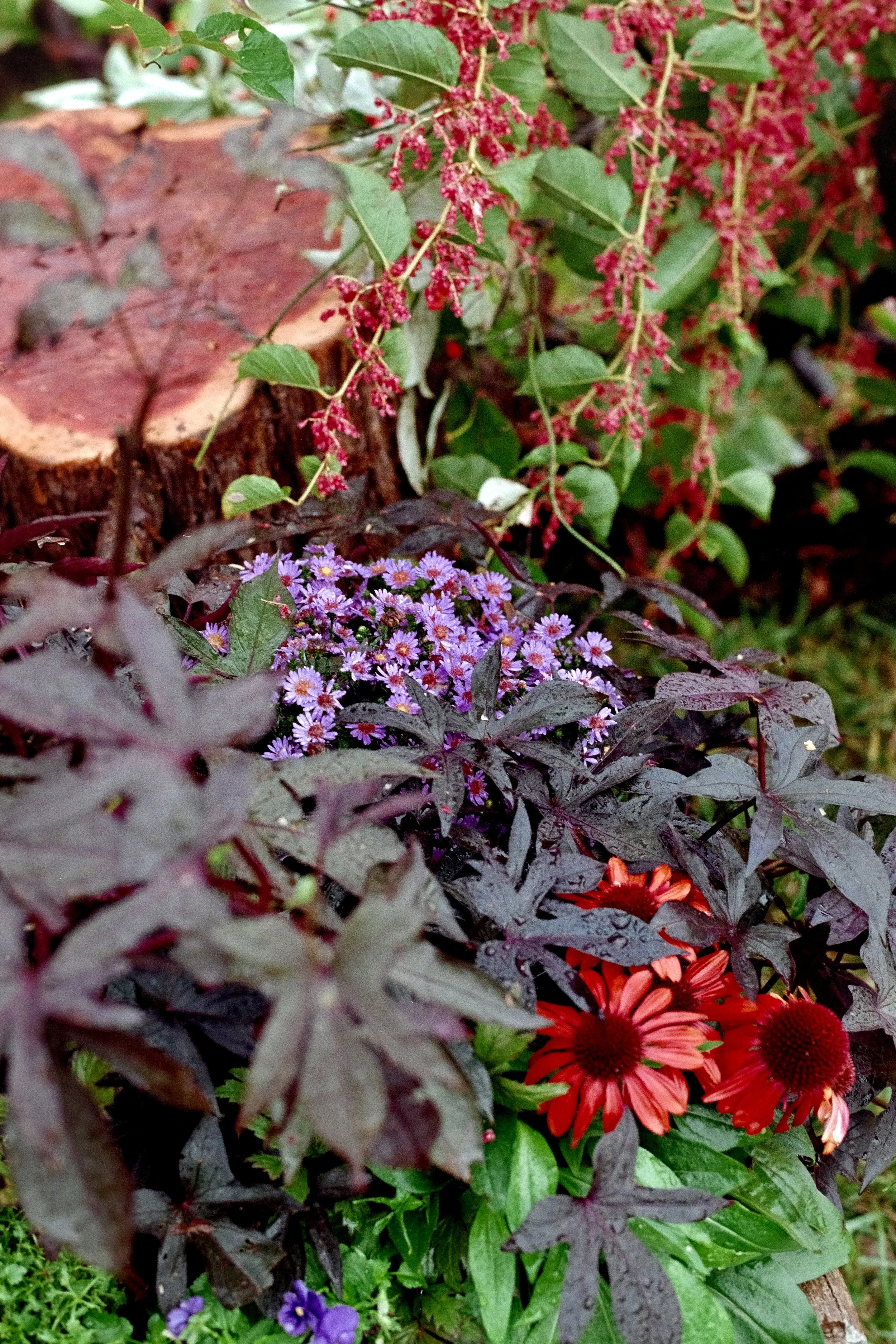 Photo Oct 05 2025, 3 52 37 PM.jpeg