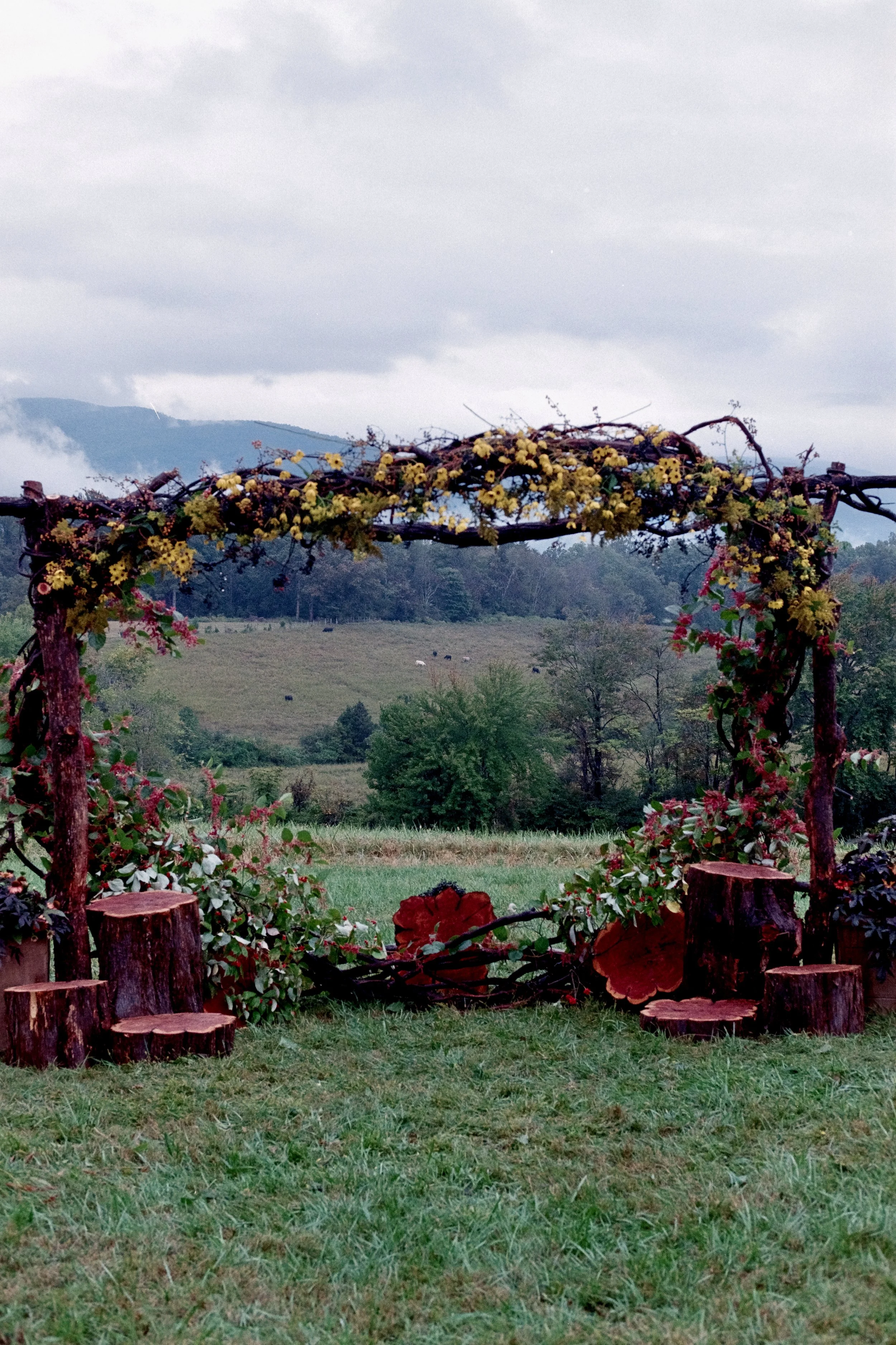 Photo Oct 05 2025, 3 51 21 PM.jpeg