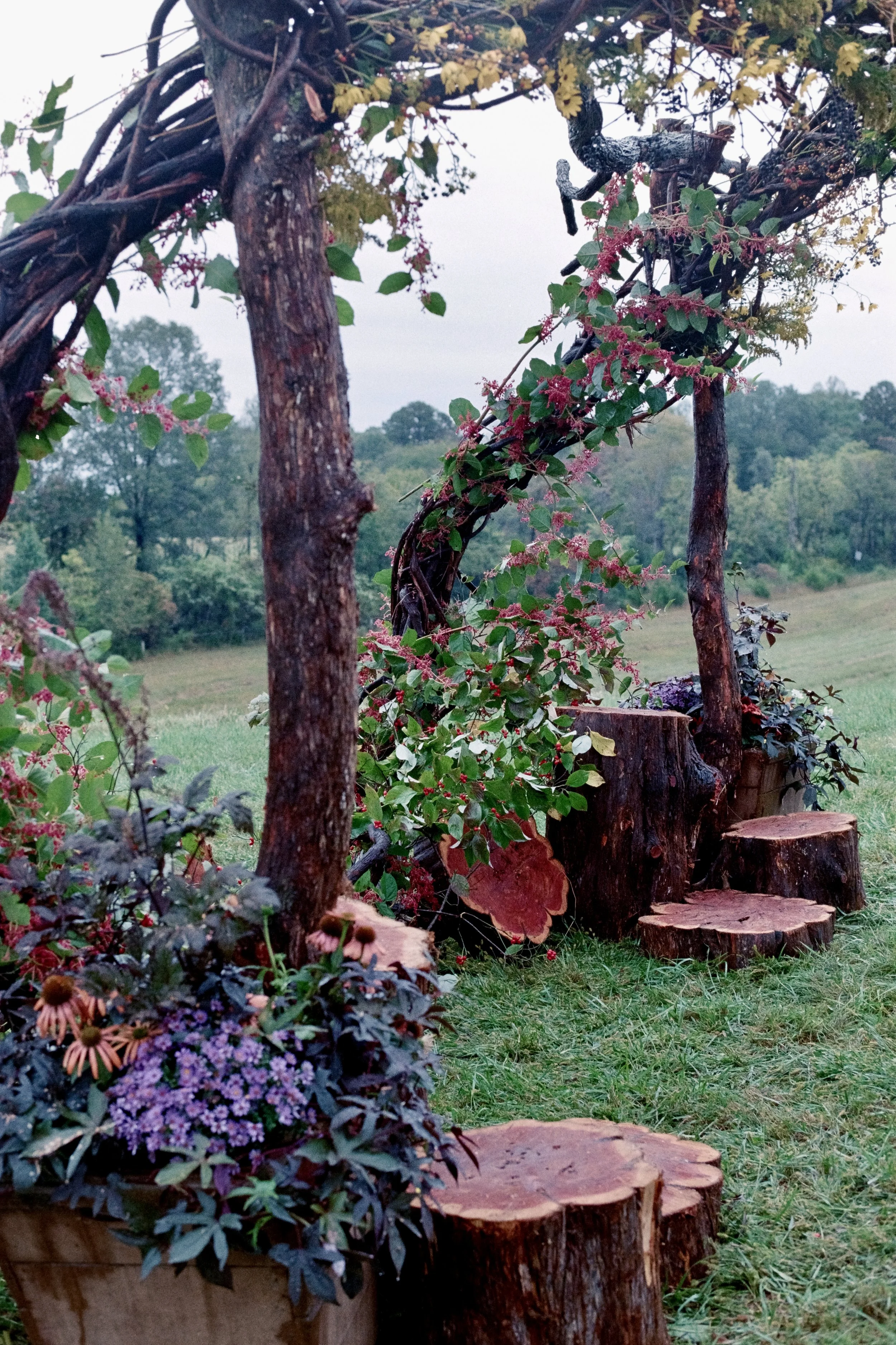 Photo Oct 05 2025, 3 52 42 PM.jpeg