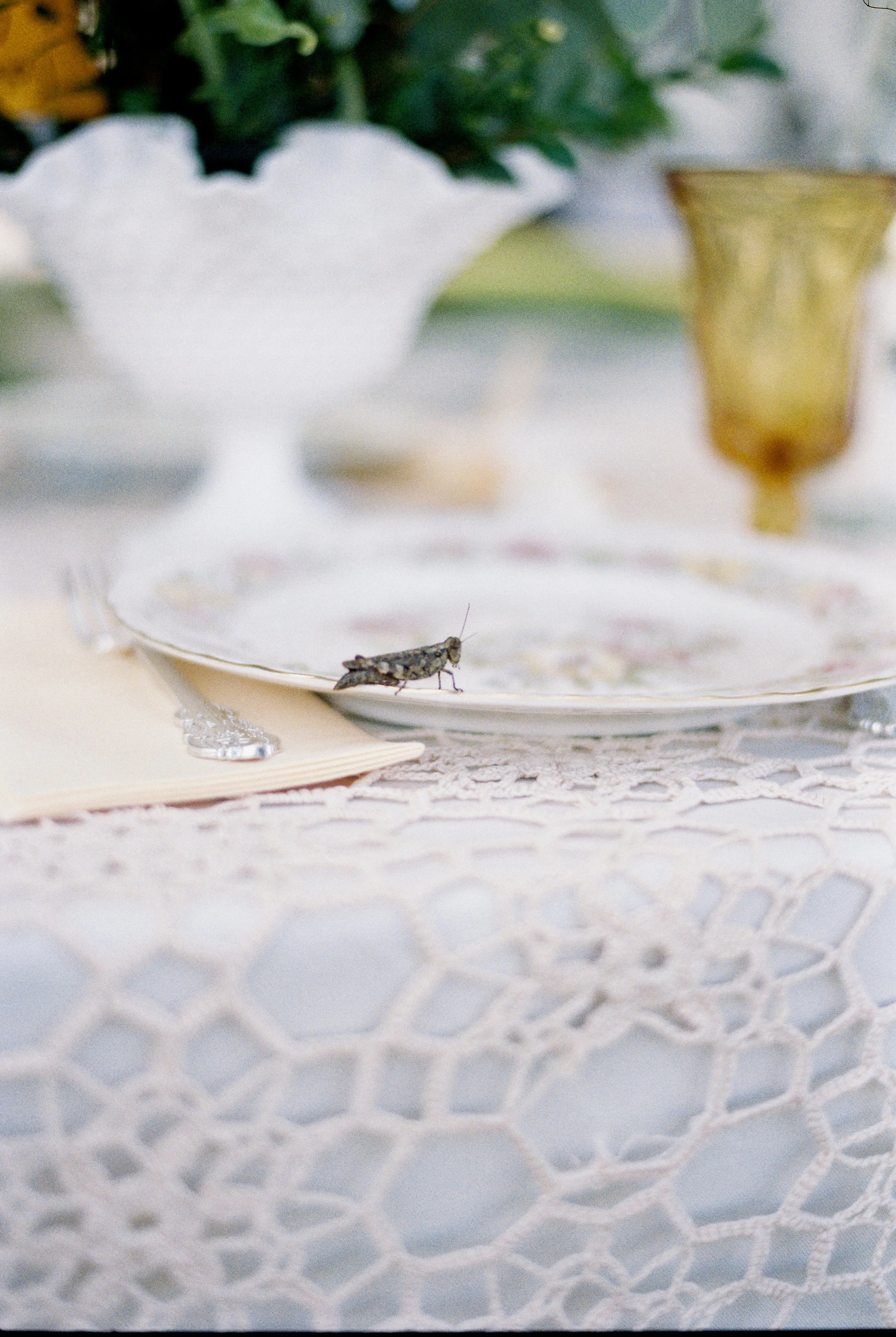 Photo Nov 13 2024, 9 53 45 PM (143).jpeg