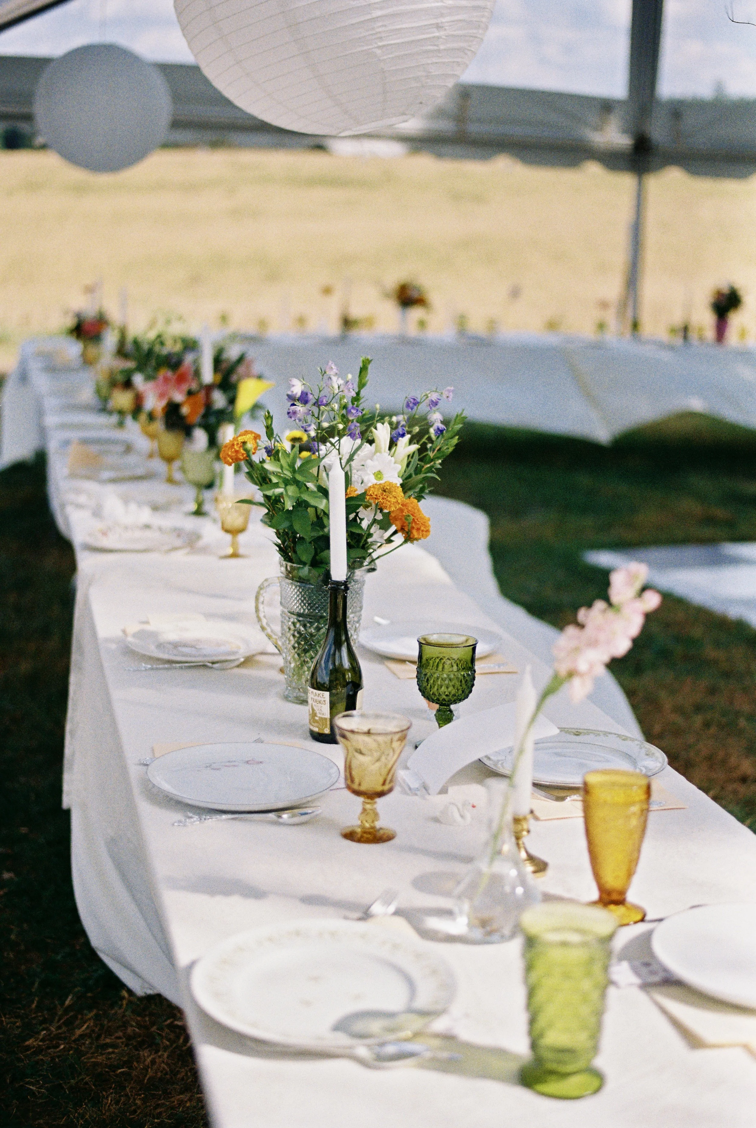 Photo Nov 13 2024, 9 53 45 PM (134).jpeg