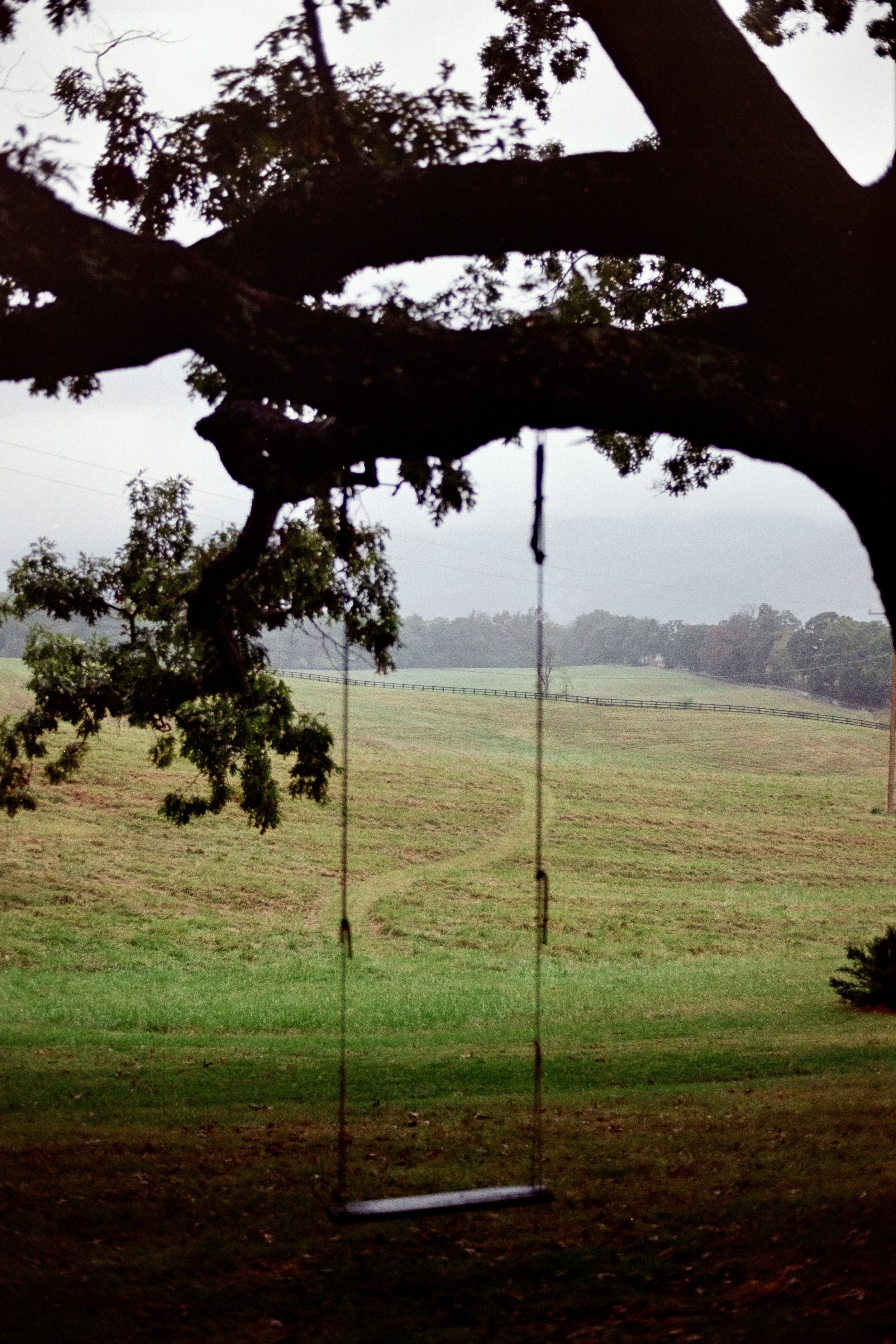 Photo Oct 05 2025, 3 48 15 PM.jpeg