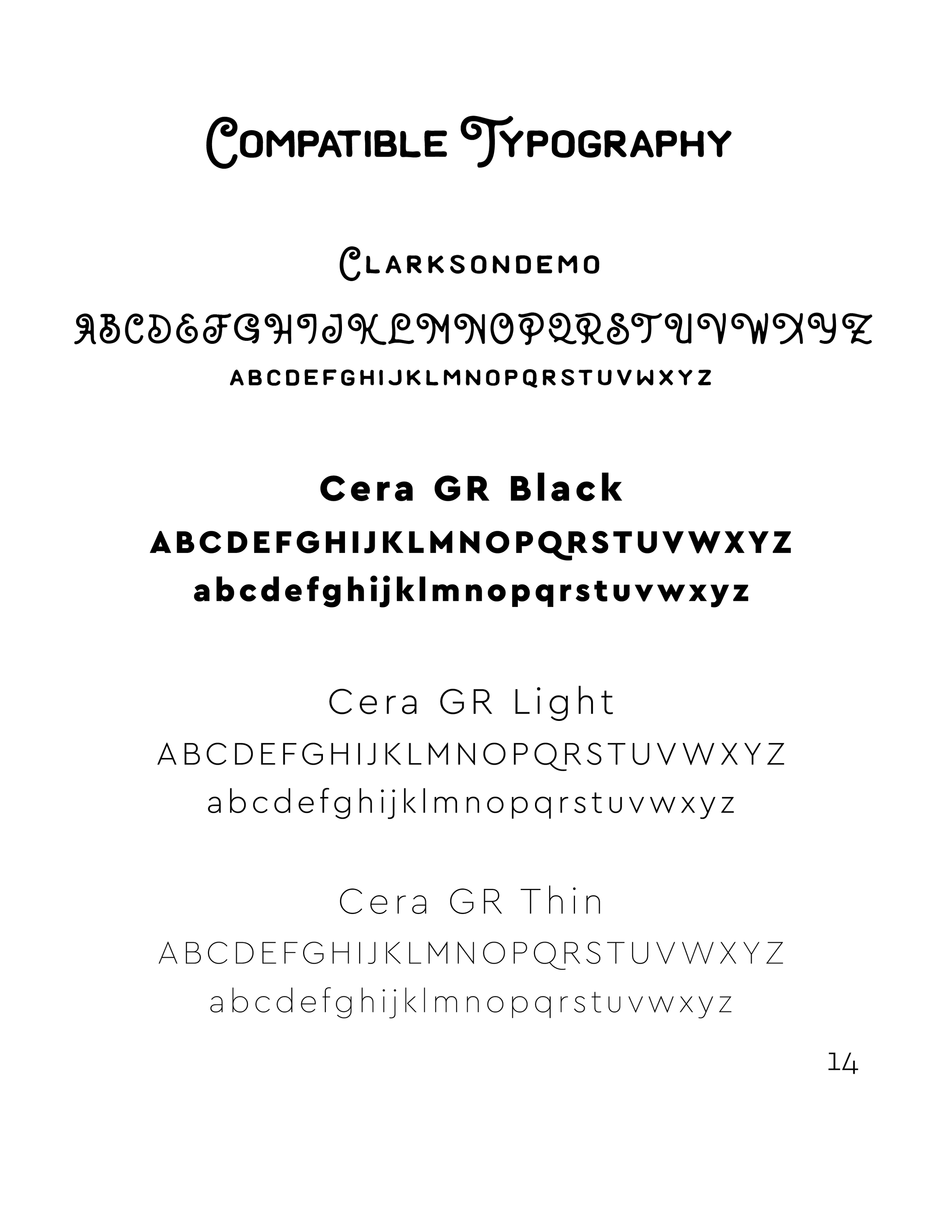 SNP Branding Guideline-15.png