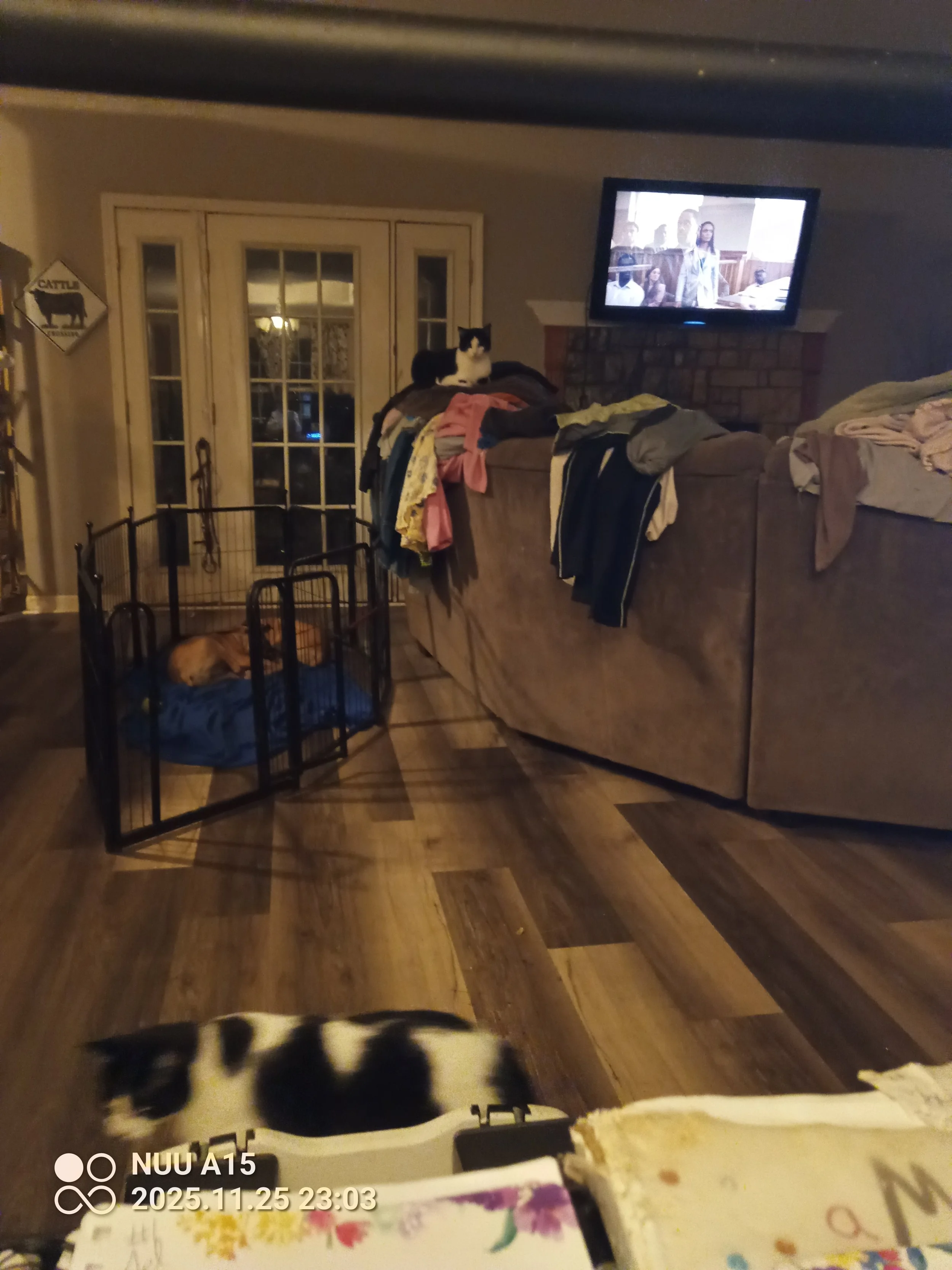 IMG_20251125_230333_114 - Copy.jpg