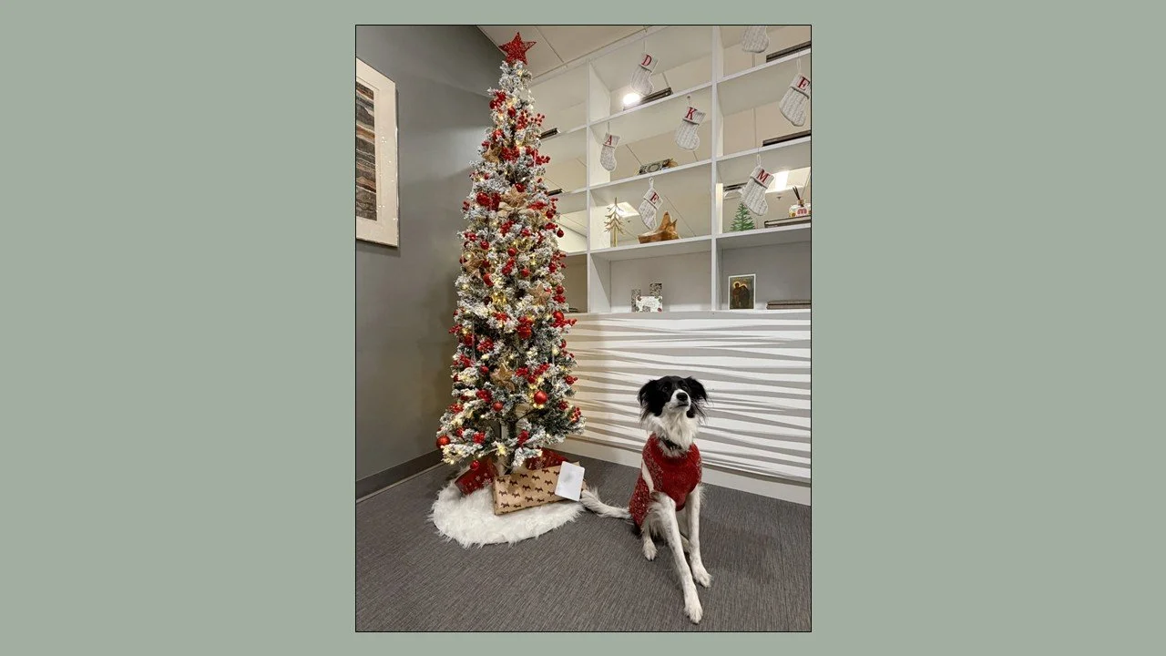 A Season of Giving at Mitchell 