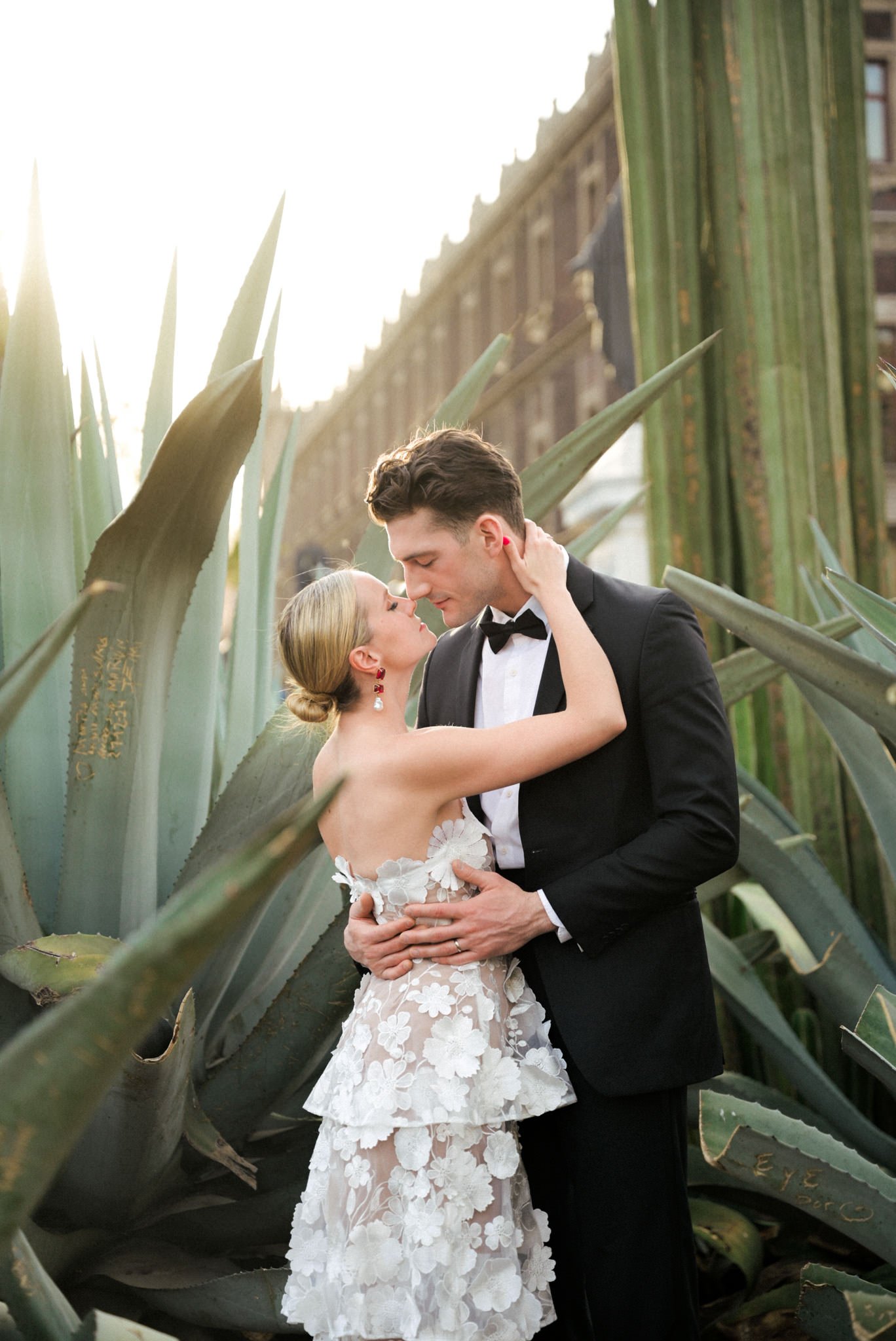 Couple embracing among large agave plants during an intimate wedding in Mexico City, captured in soft golden light with an elegant editorial style.