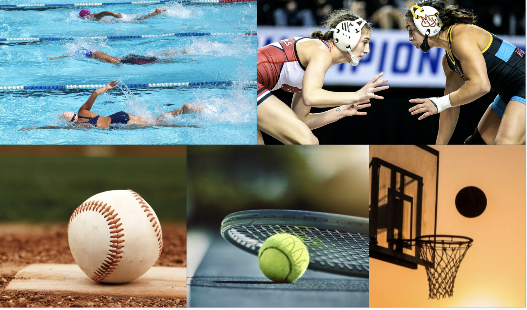 Boys Basketball, Swimming, Wrestling, JV Girls Tennis &amp; JV Baseball Tryouts