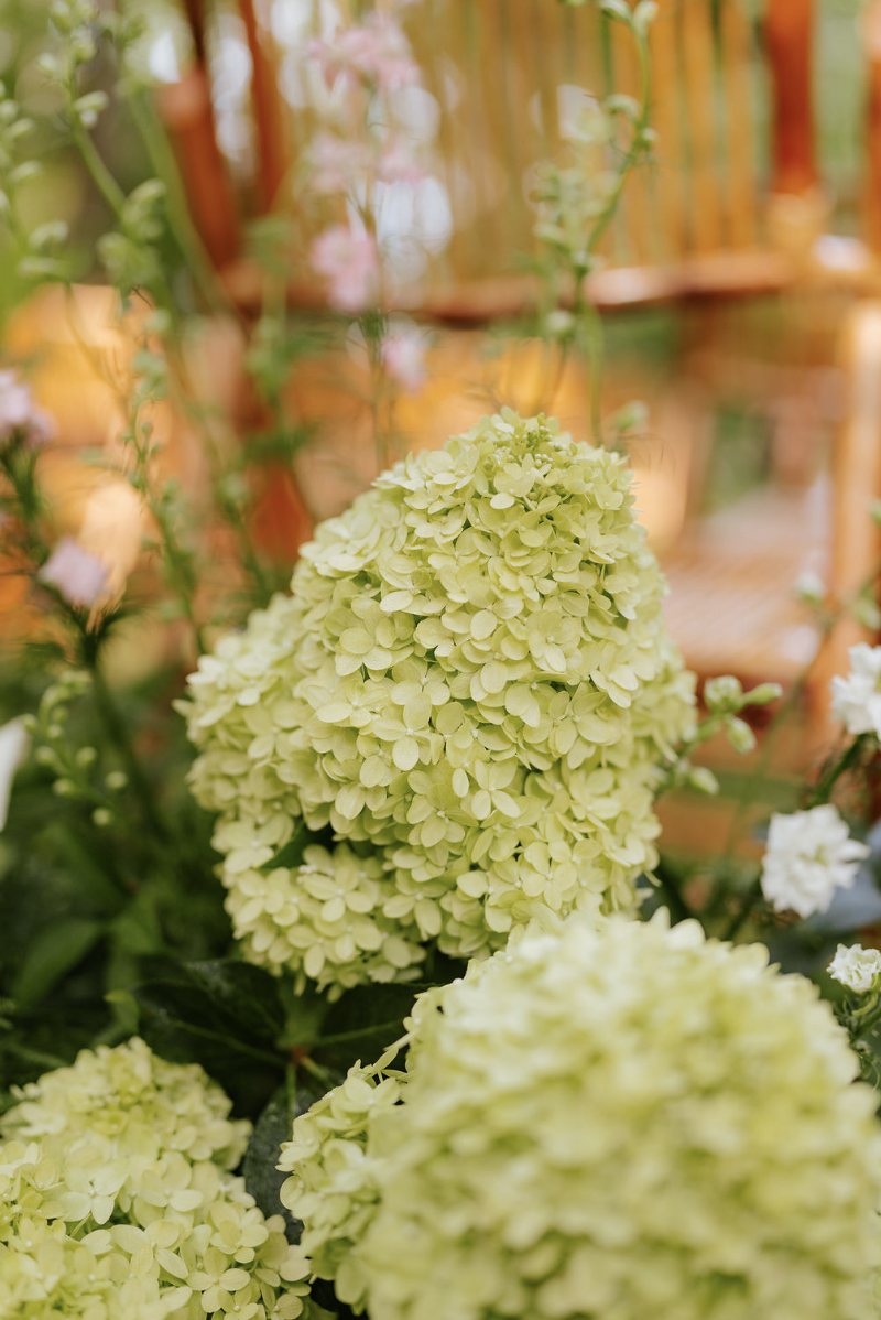 Screenshot 2026-02-16 at 6.39.00 PM.png